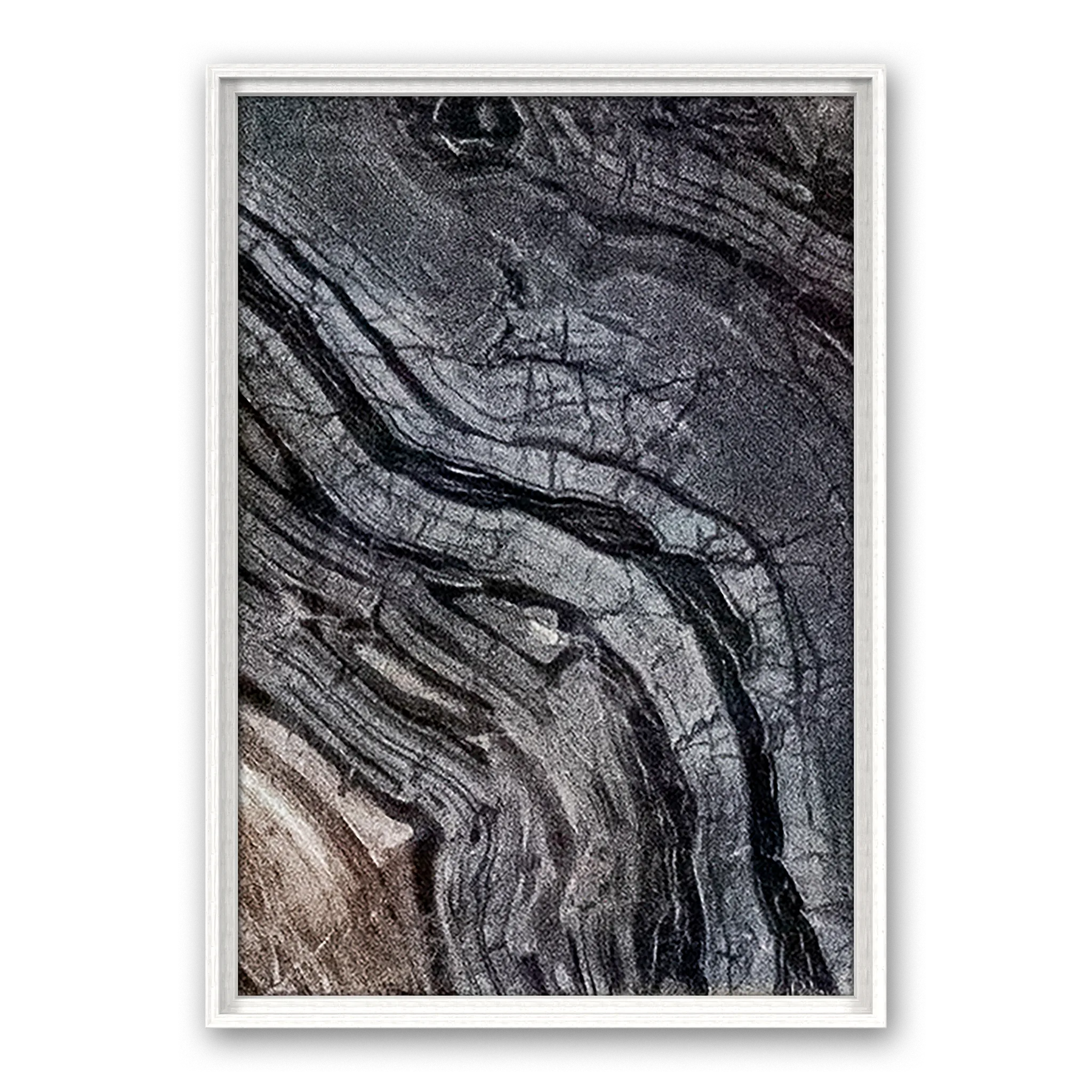 Cosmic Gaze Cosmic Gaze