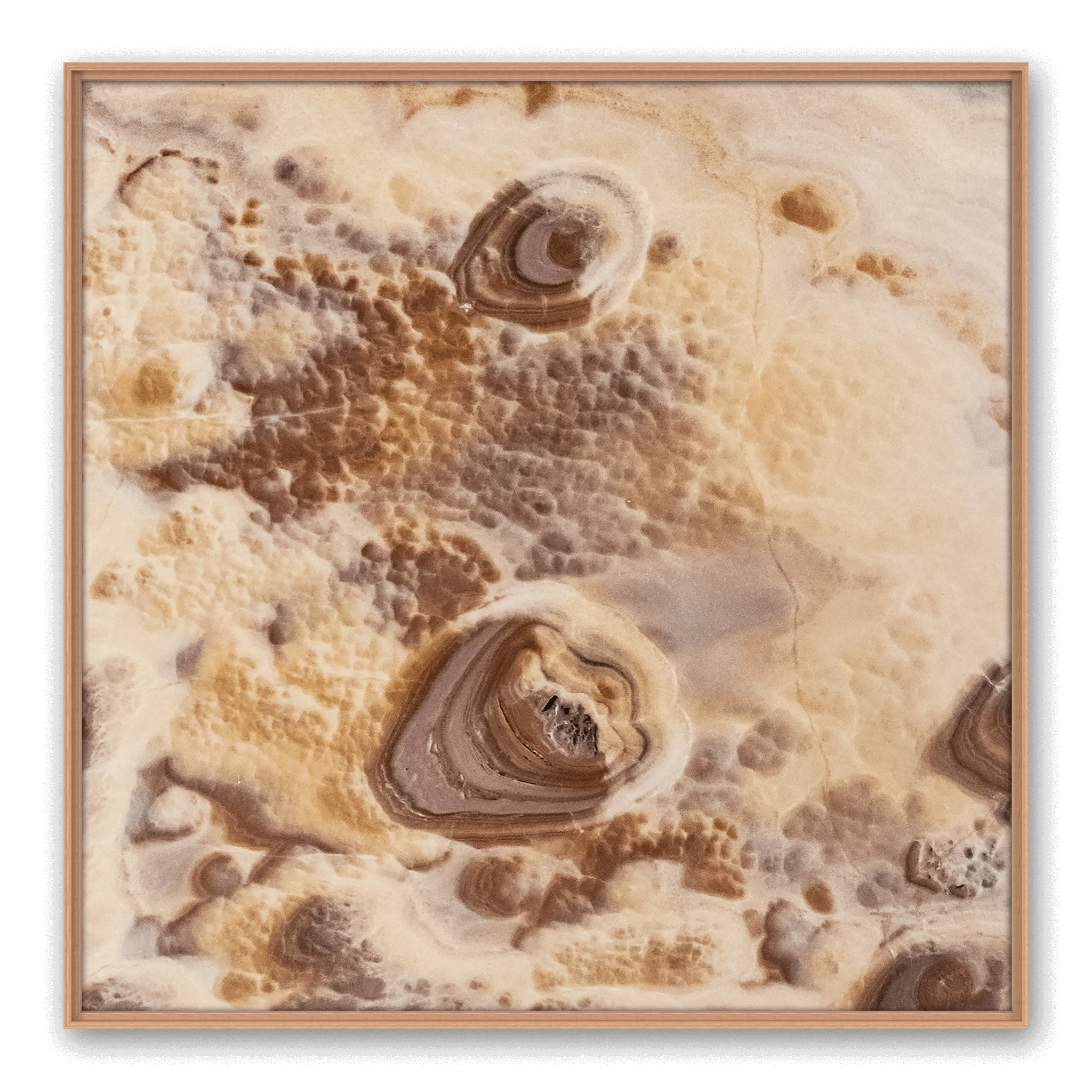 Dune Area