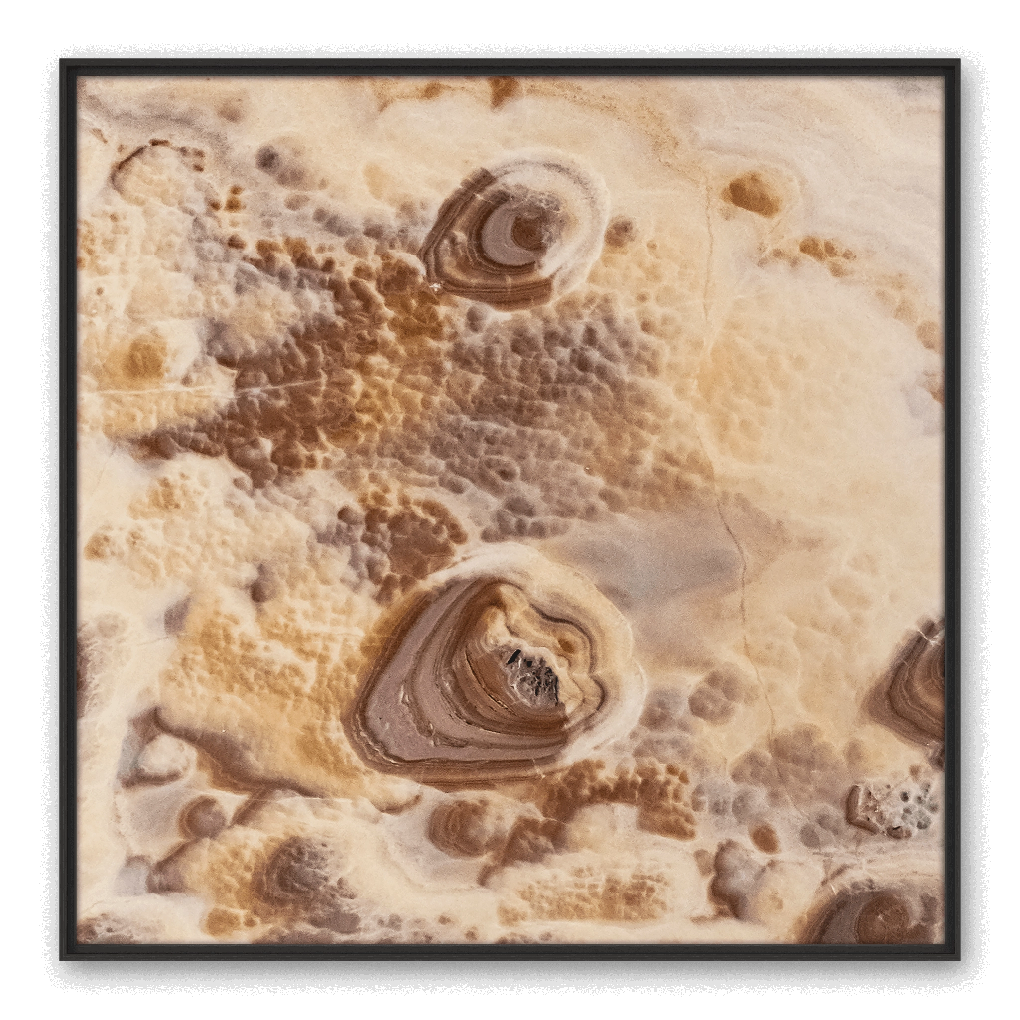 Dune Area