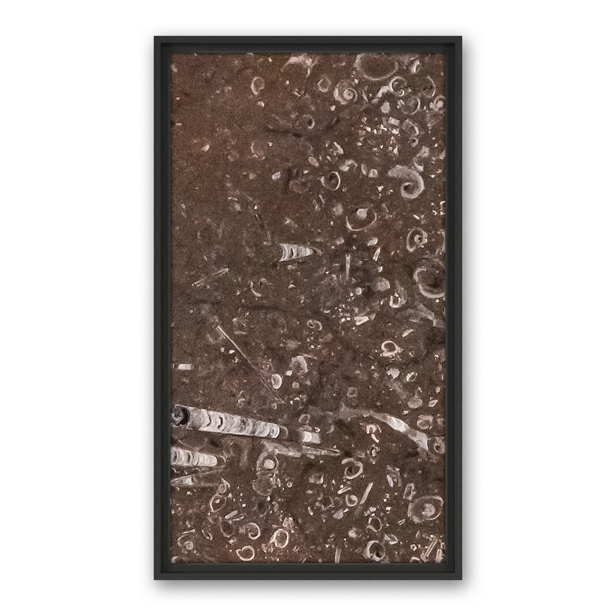 Tempus Sediment
