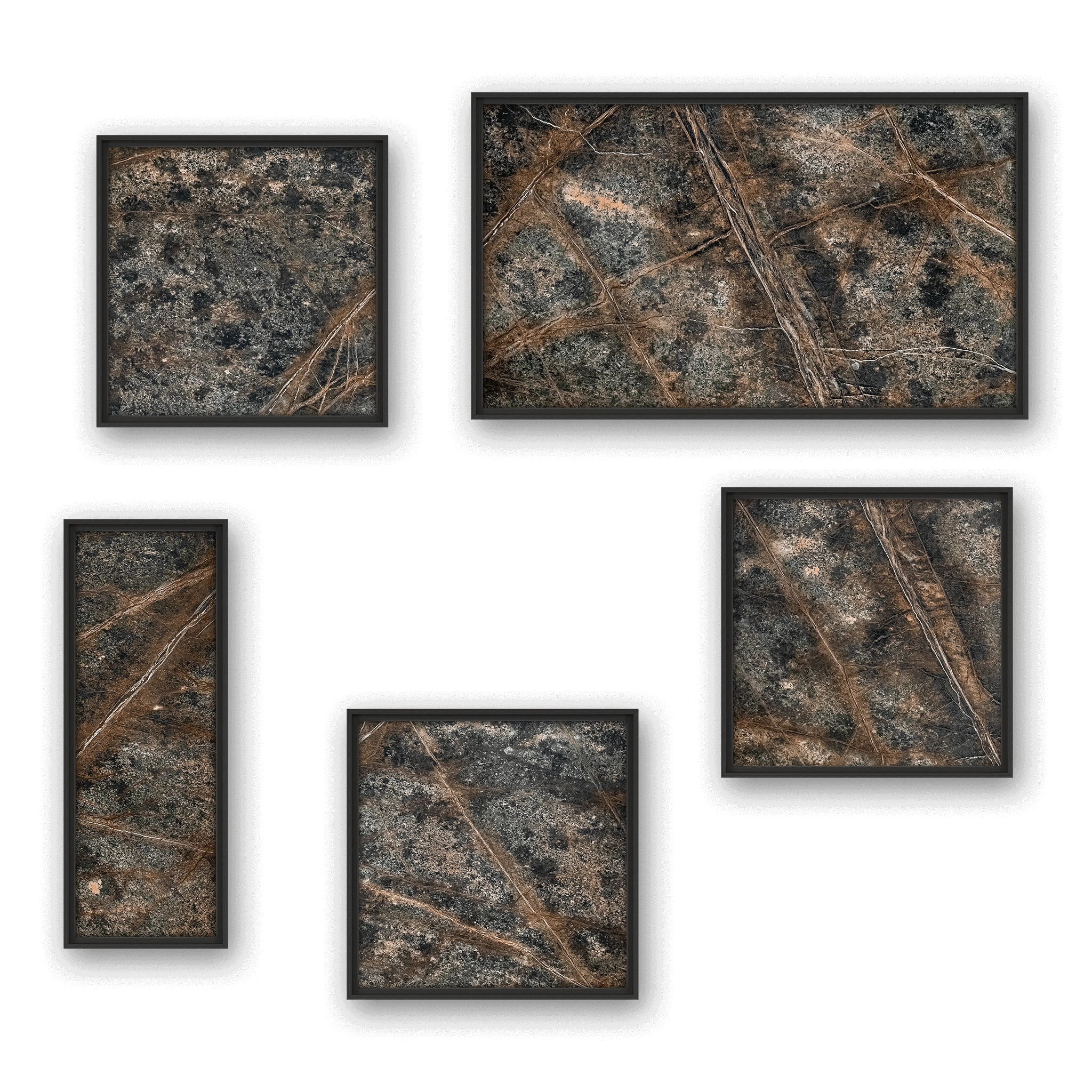 Novatus Terra
