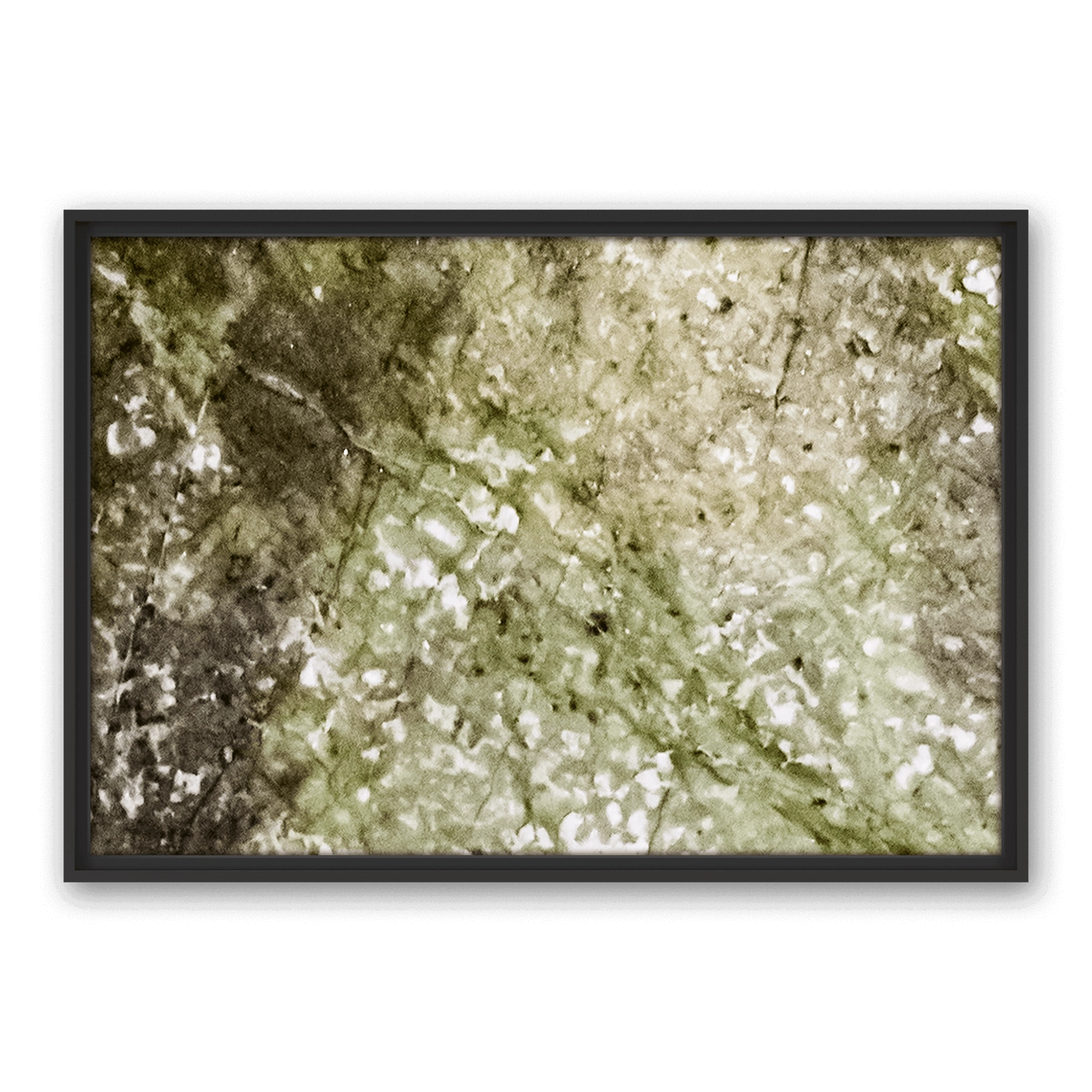 Robinia Landscape