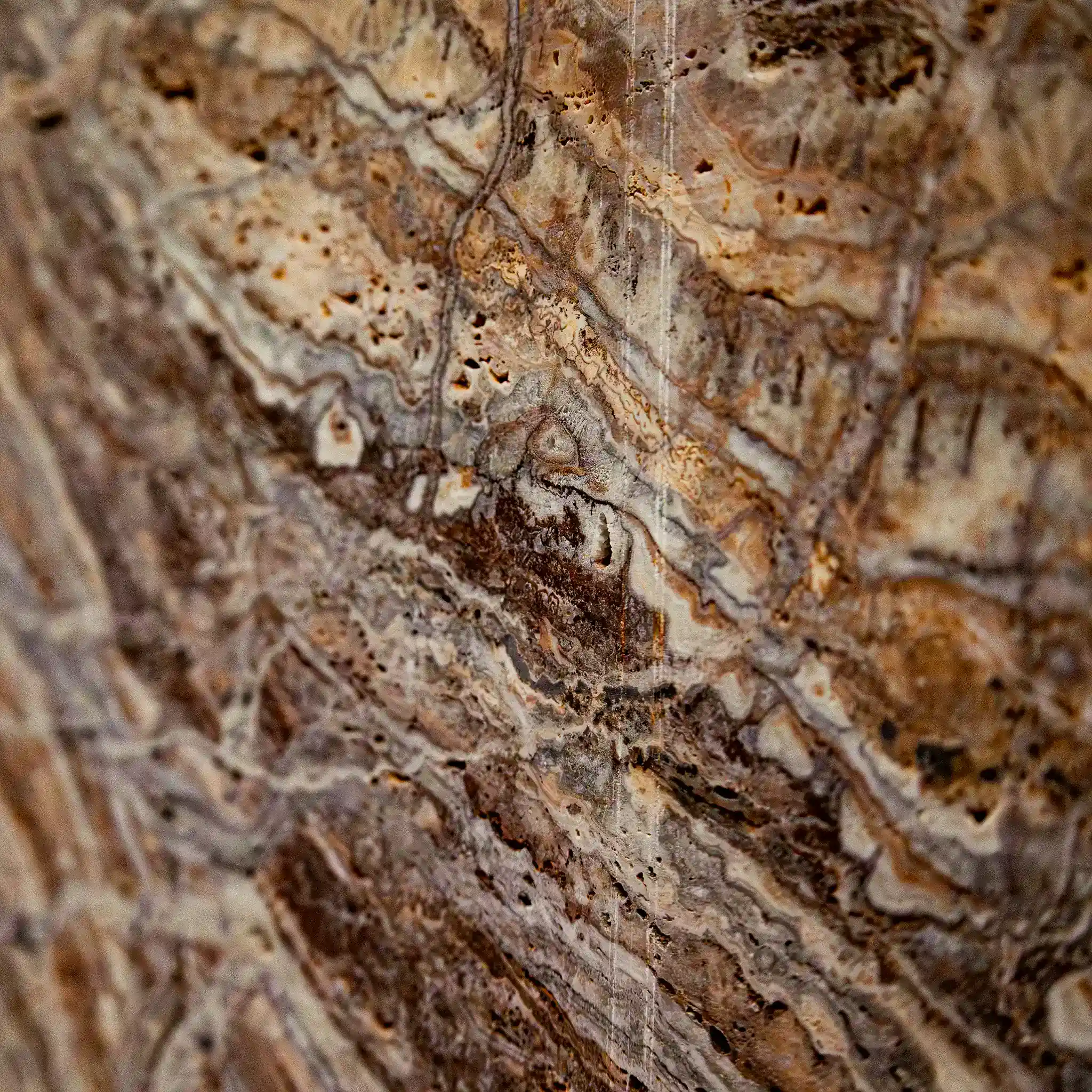 Venosa Mojave