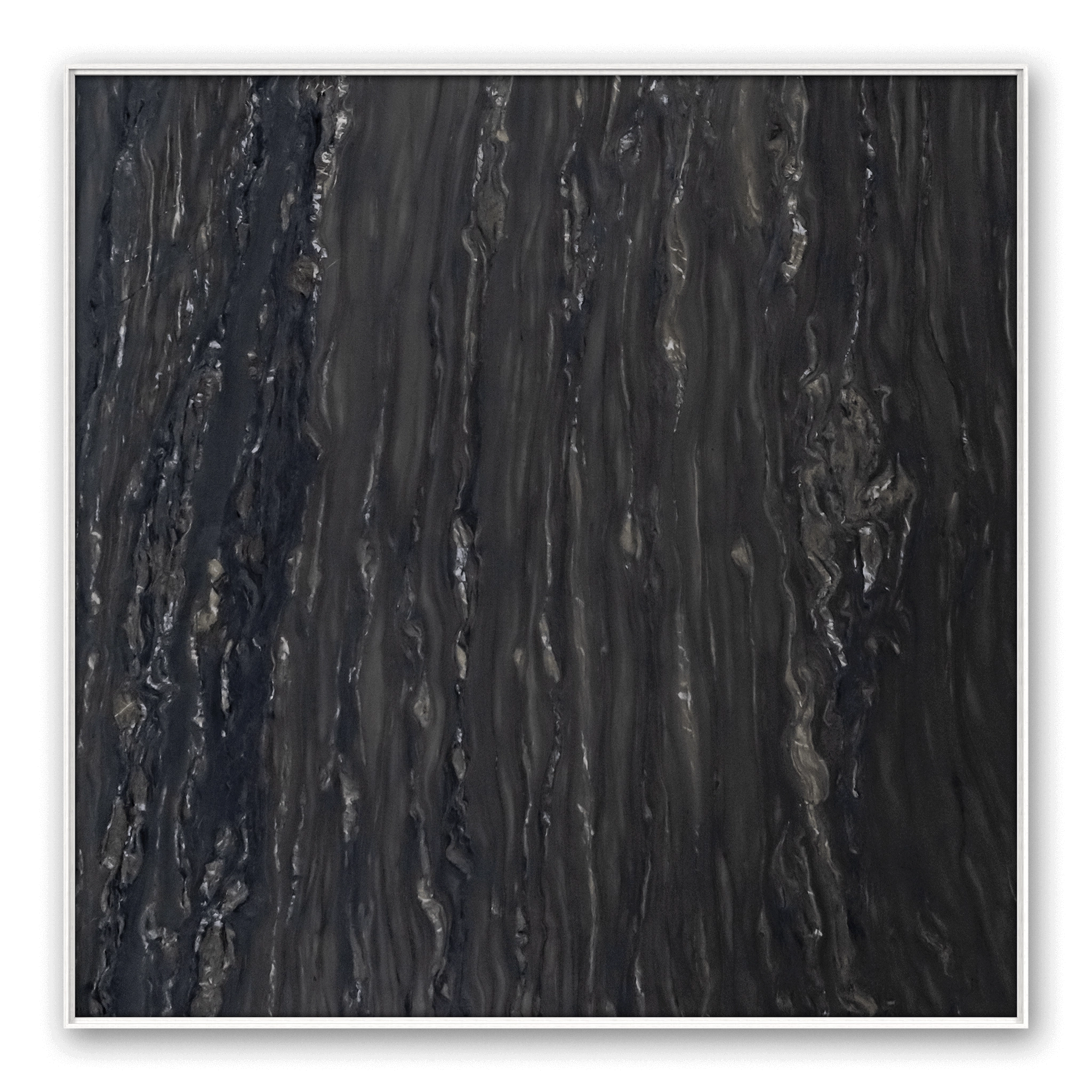 Delos Dark