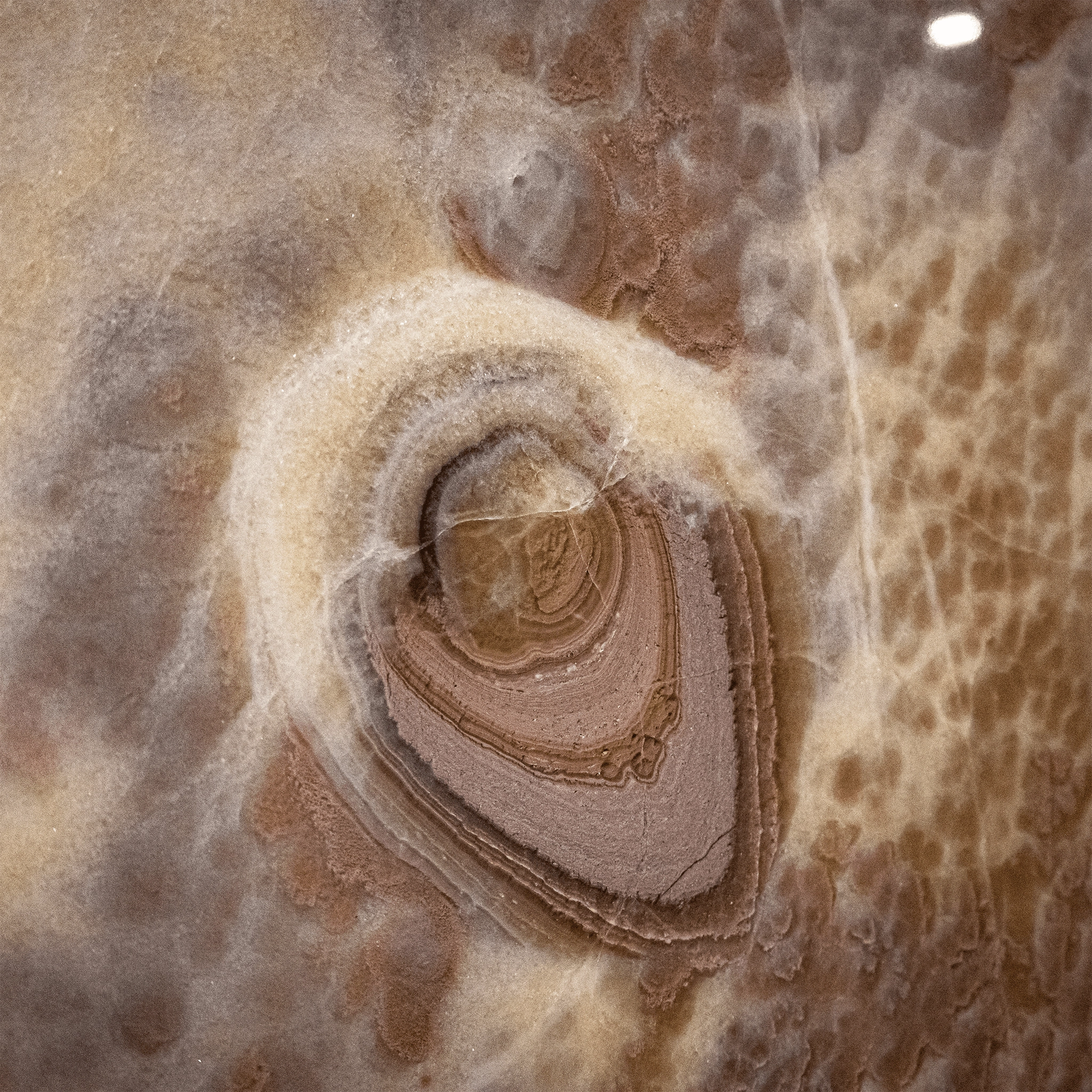 Dune Sahara