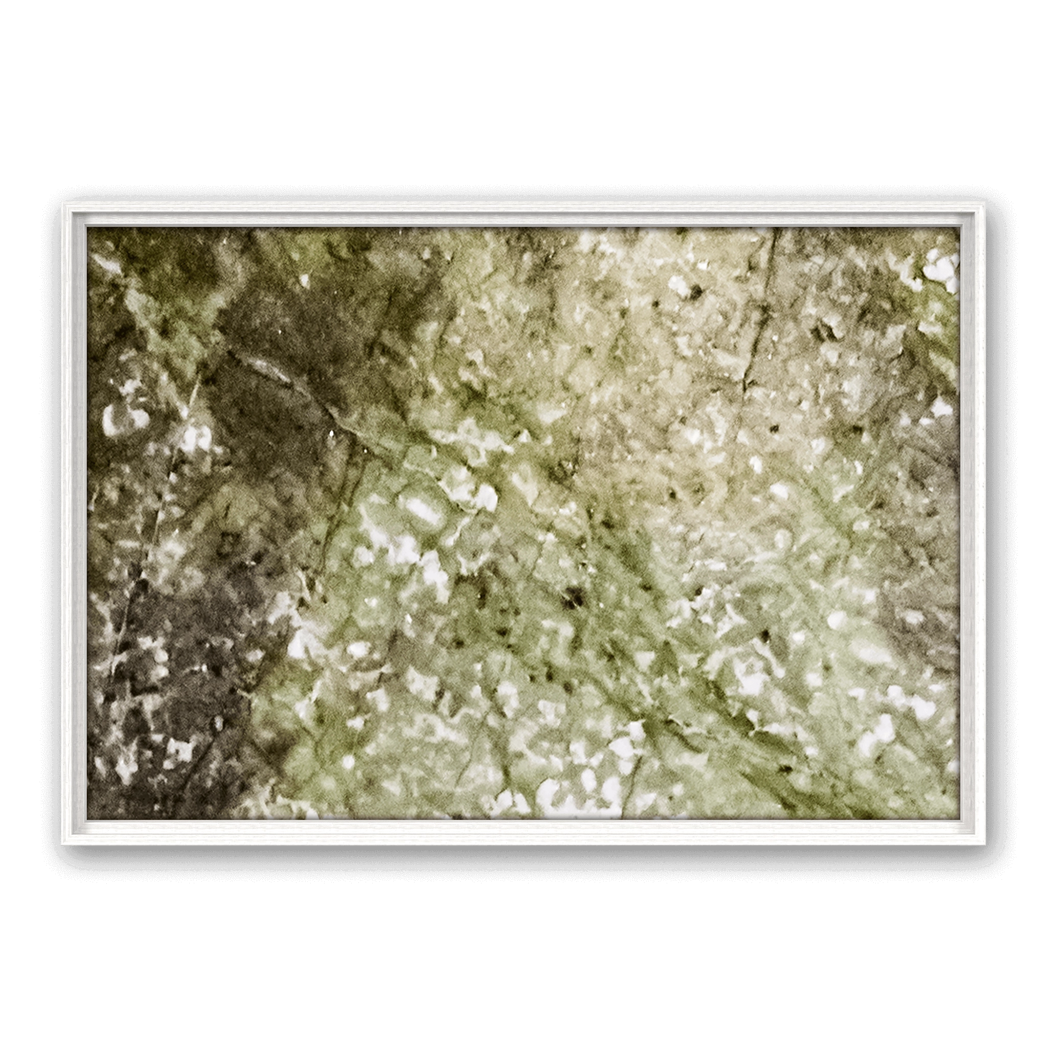 Robinia Landscape