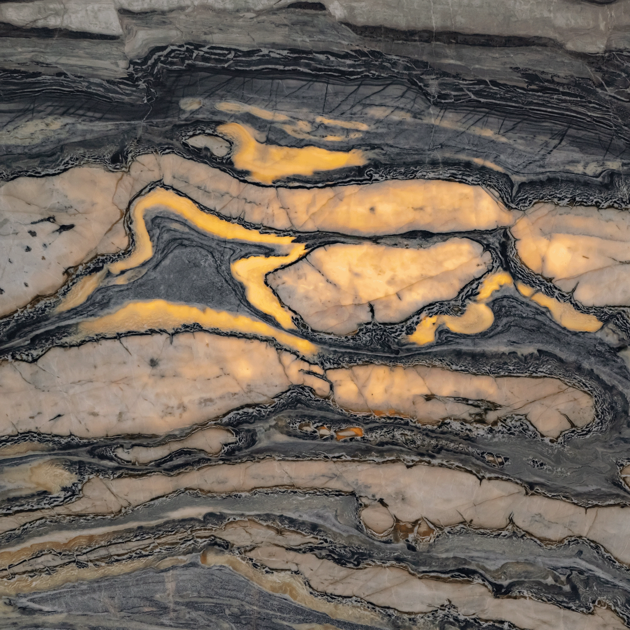 Juna Speed Juna Speed