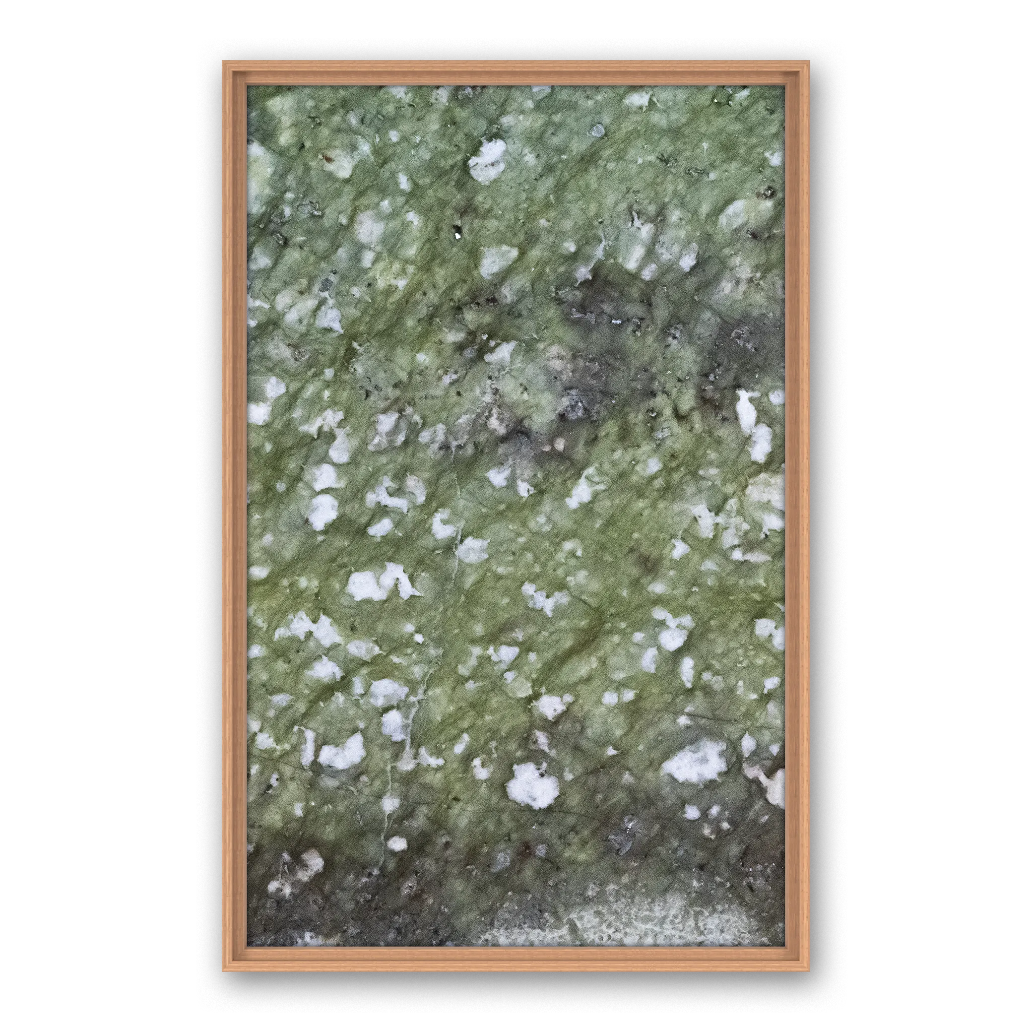 Robinia Freeze