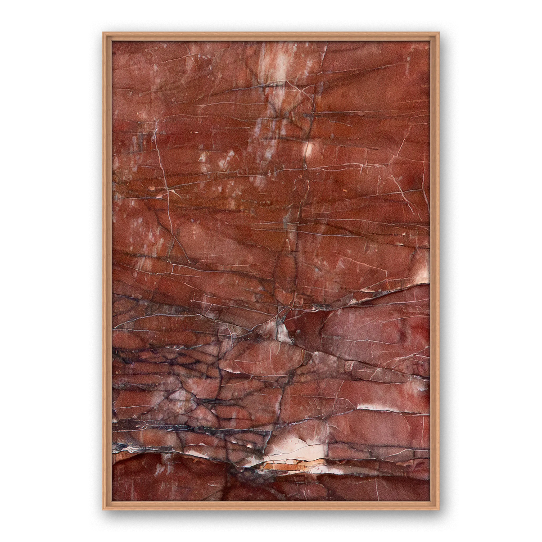 Colligatio La Scandola