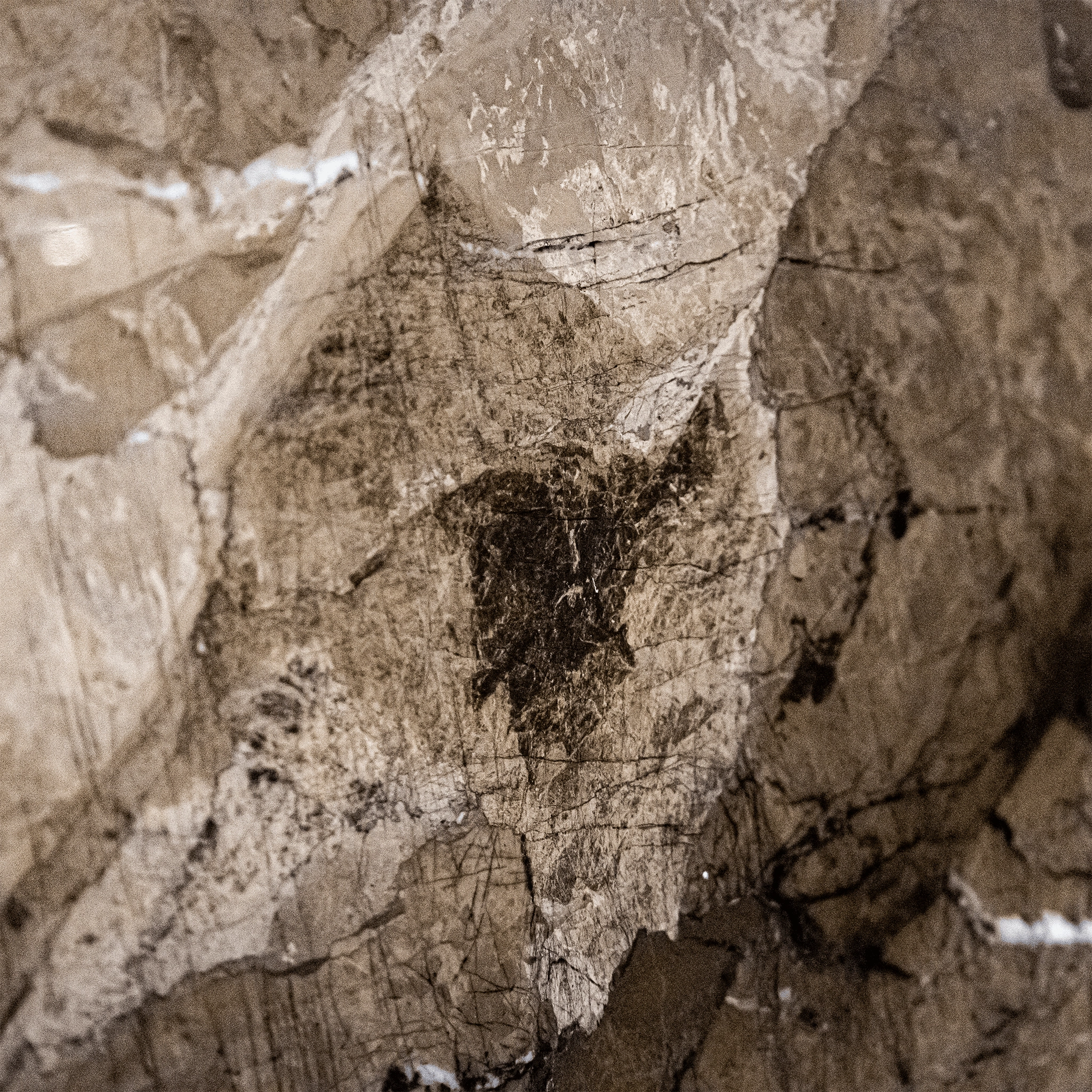 Rock Wall