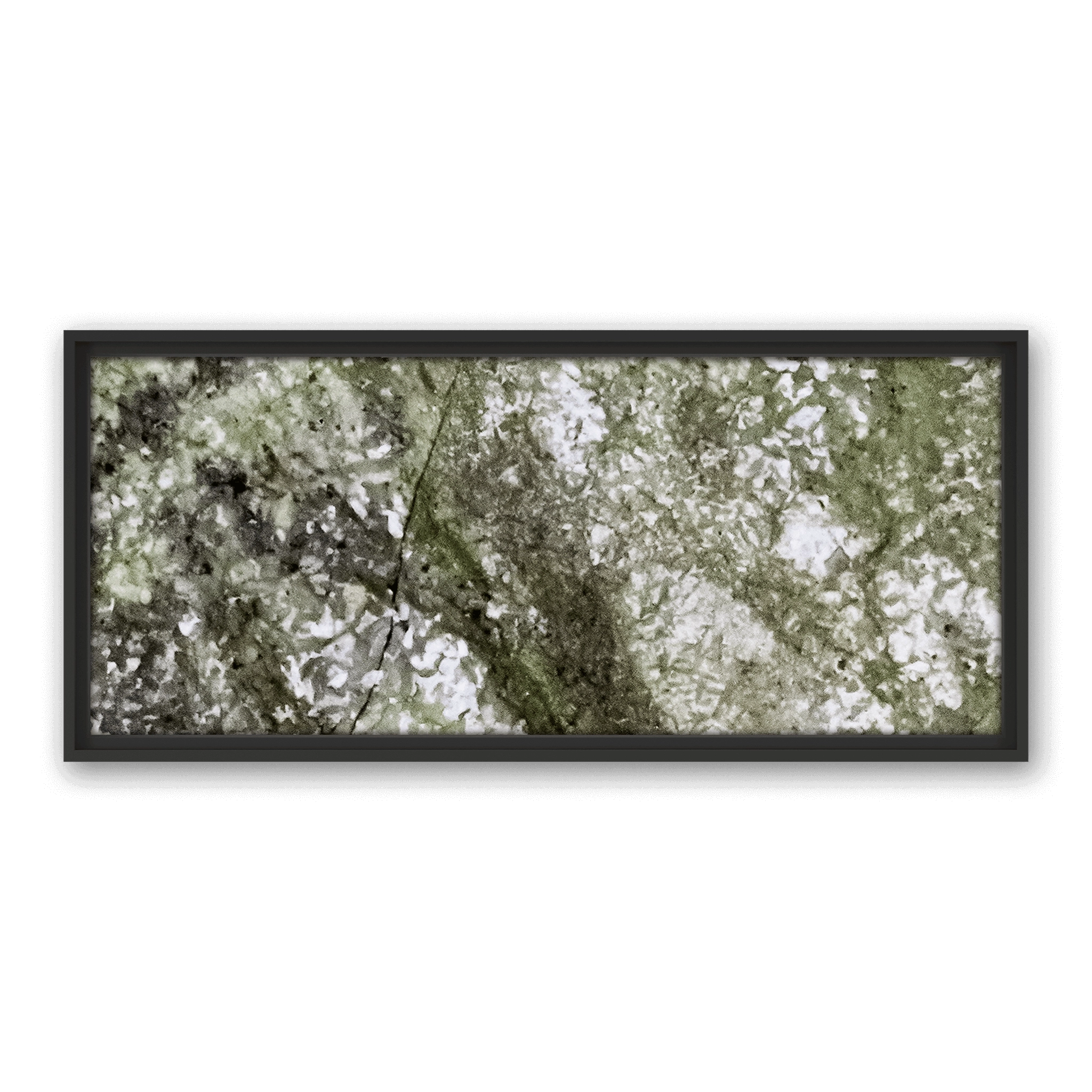 Robinia Garden Robinia Garden