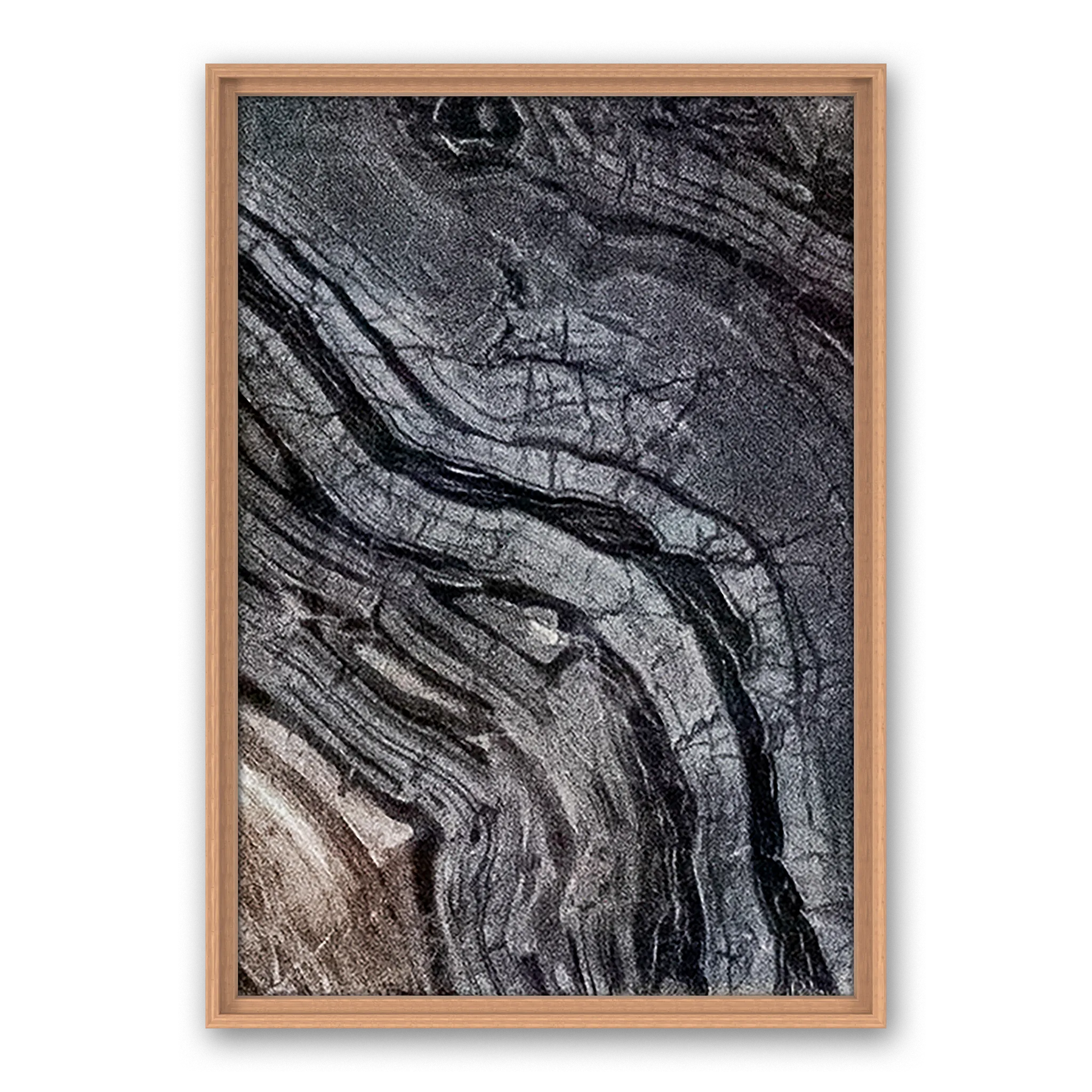 Cosmic Gaze Cosmic Gaze