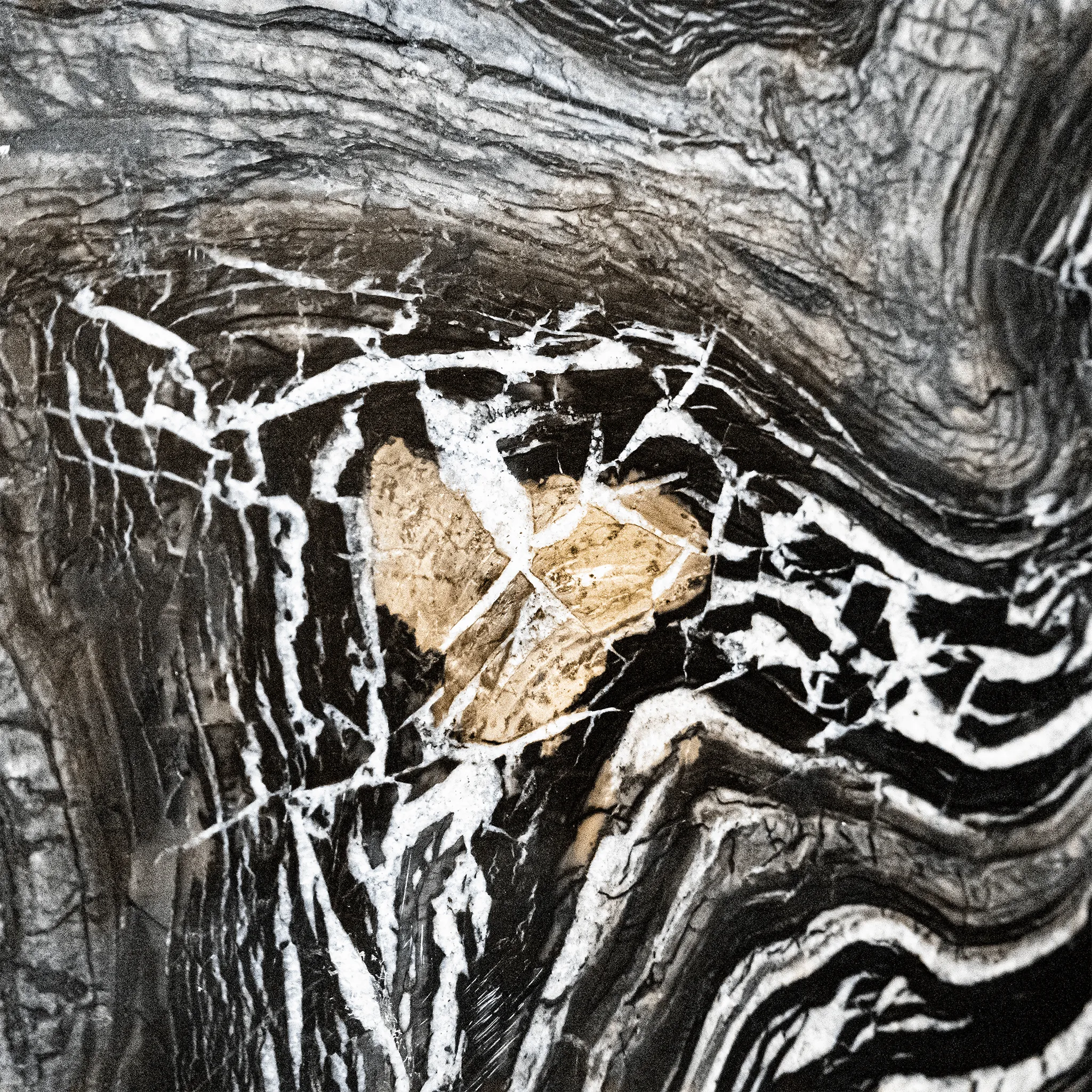 Cosmic Gaze Cosmic Gaze