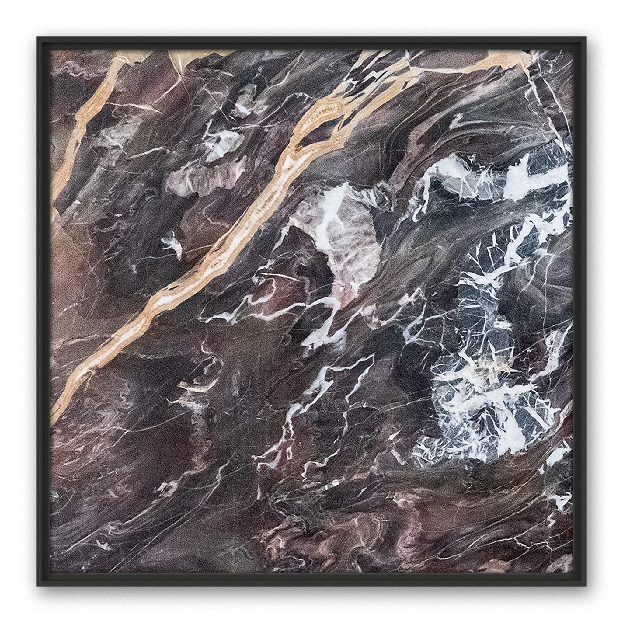 Pallas Himalaya
