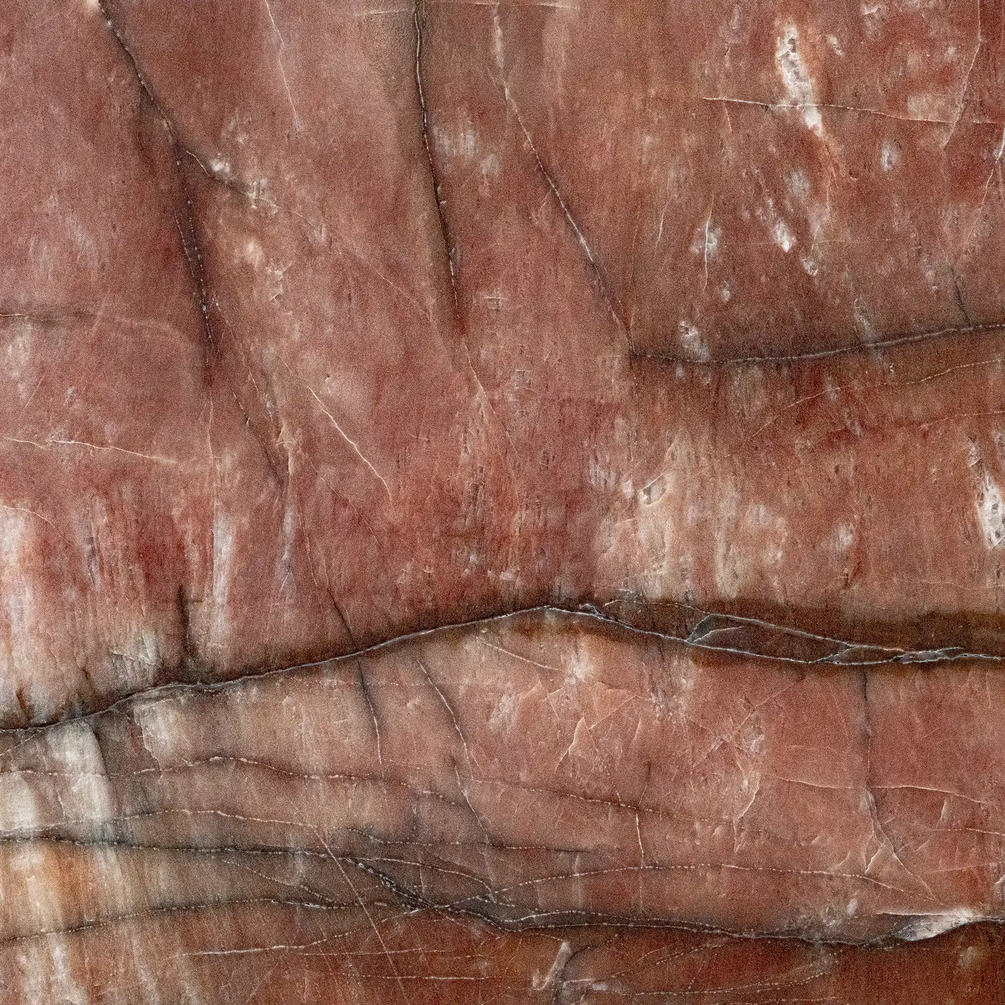 Colligatio La Scandola