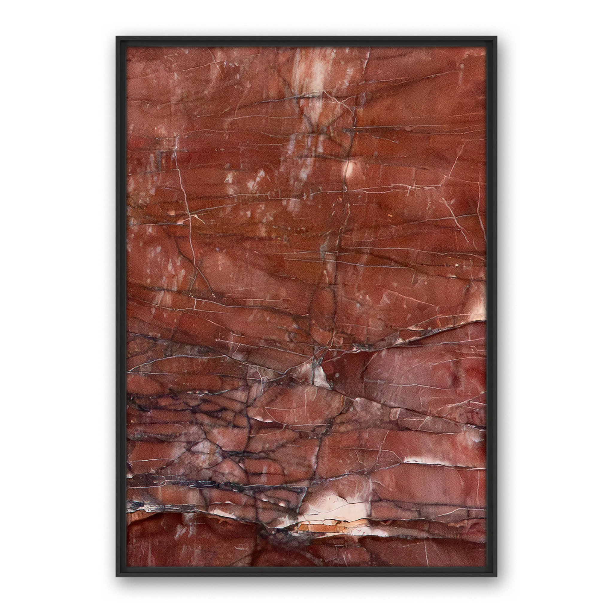 Colligatio La Scandola