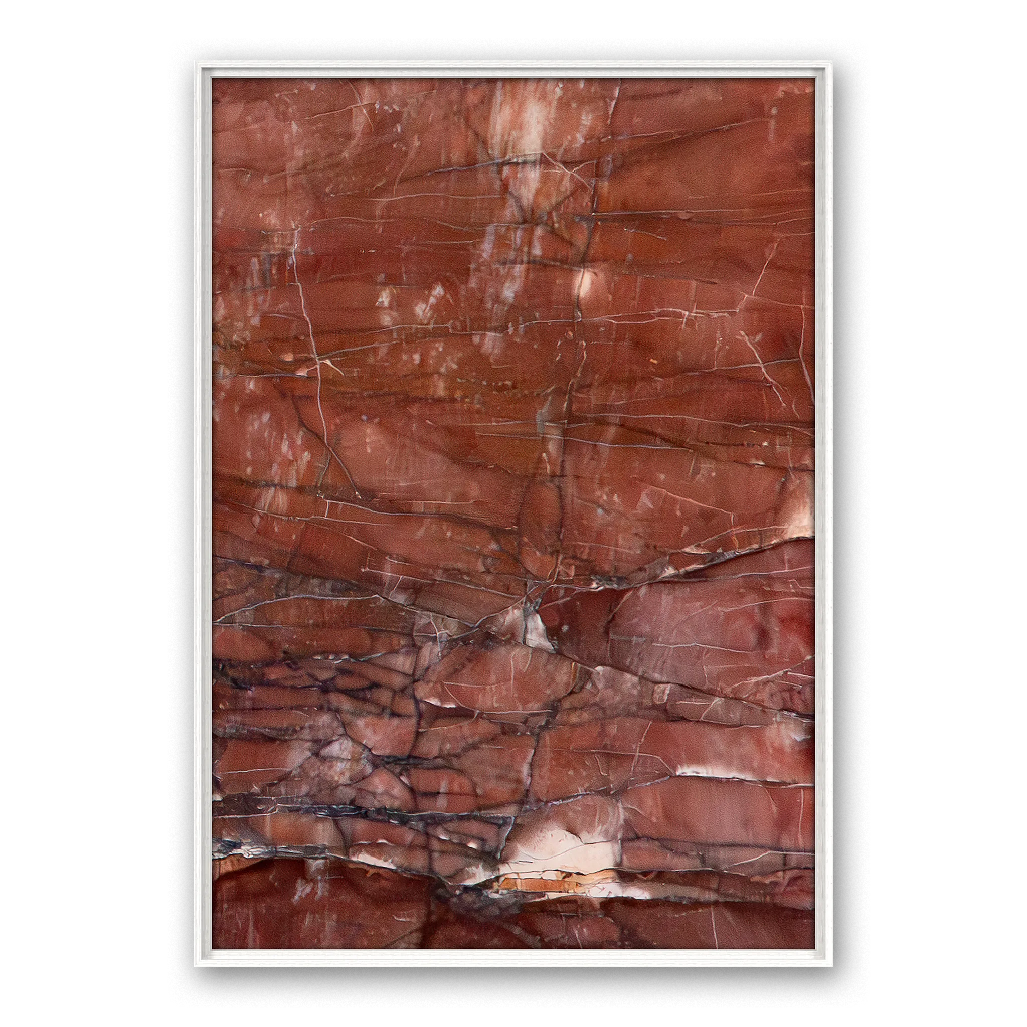 Colligatio La Scandola