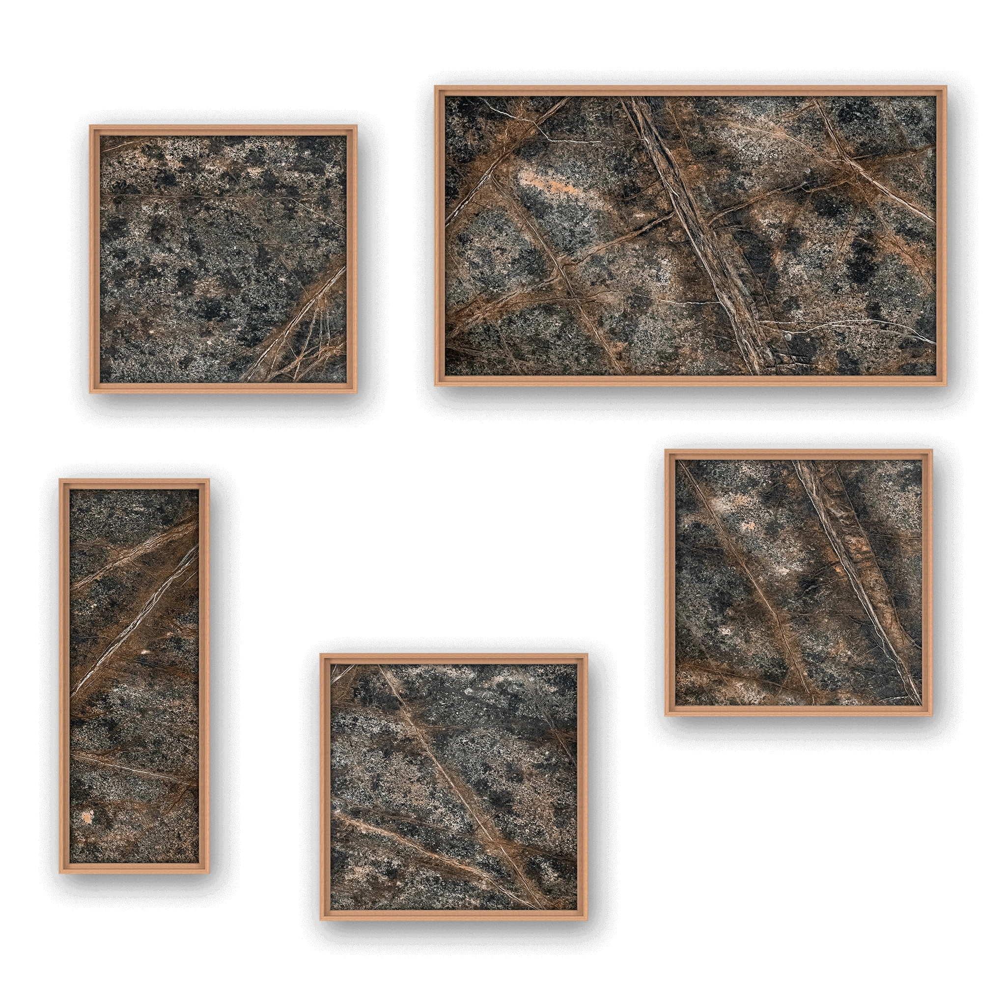 Novatus Terra