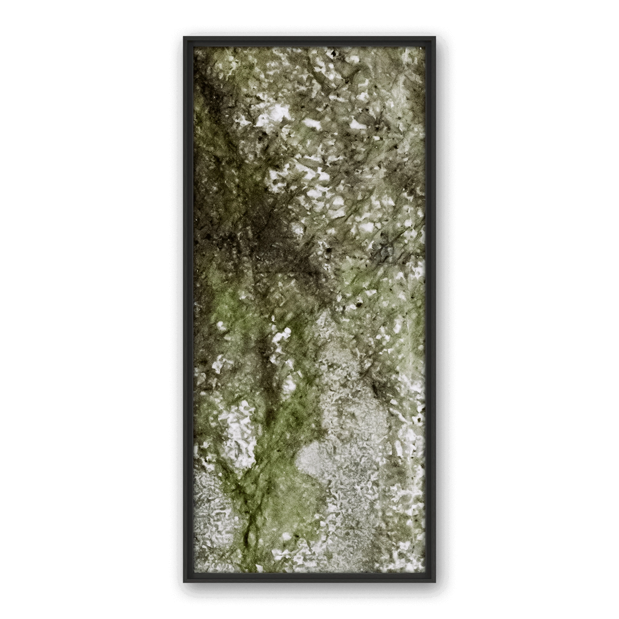 Robinia Star Robinia Star