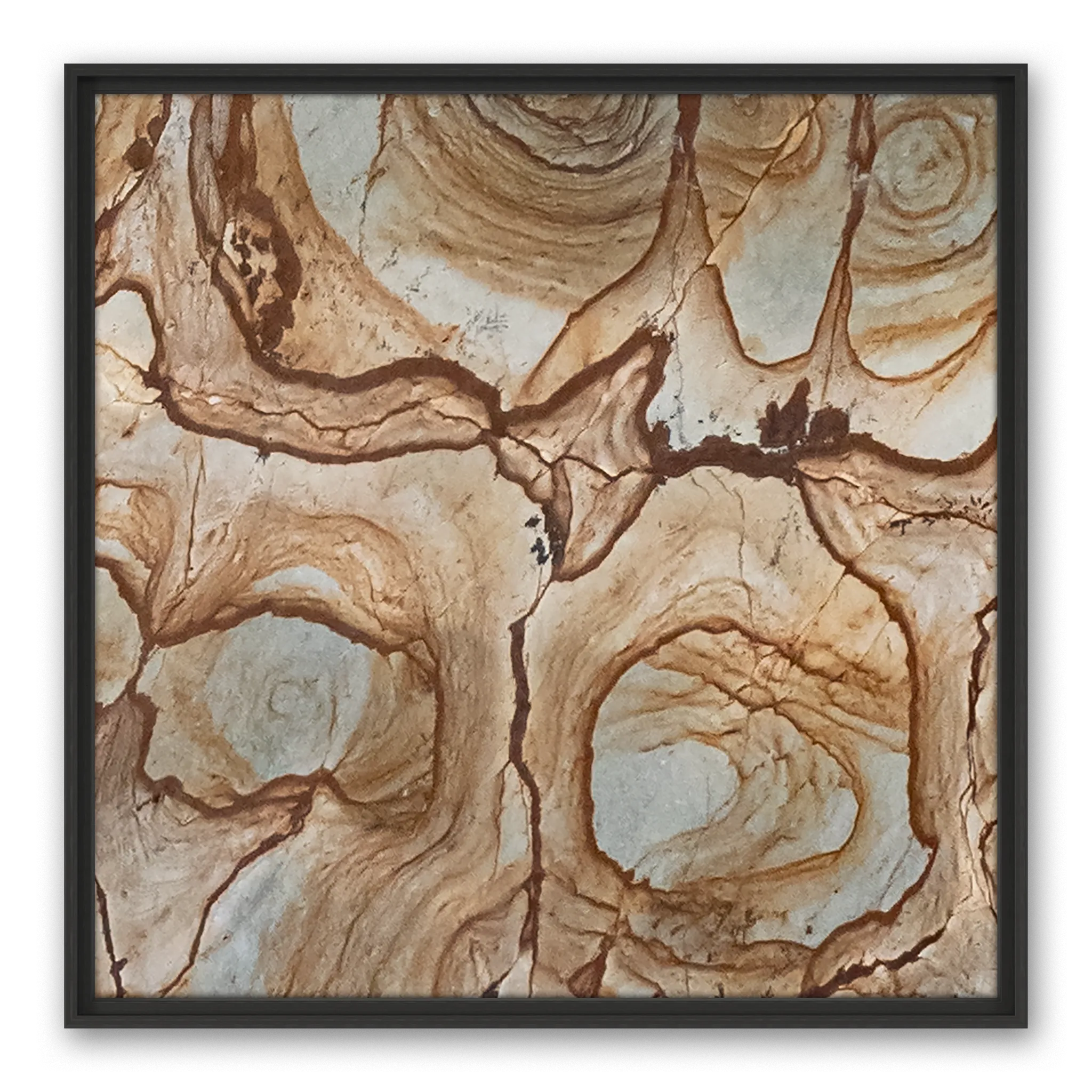 Ambrosius Frame