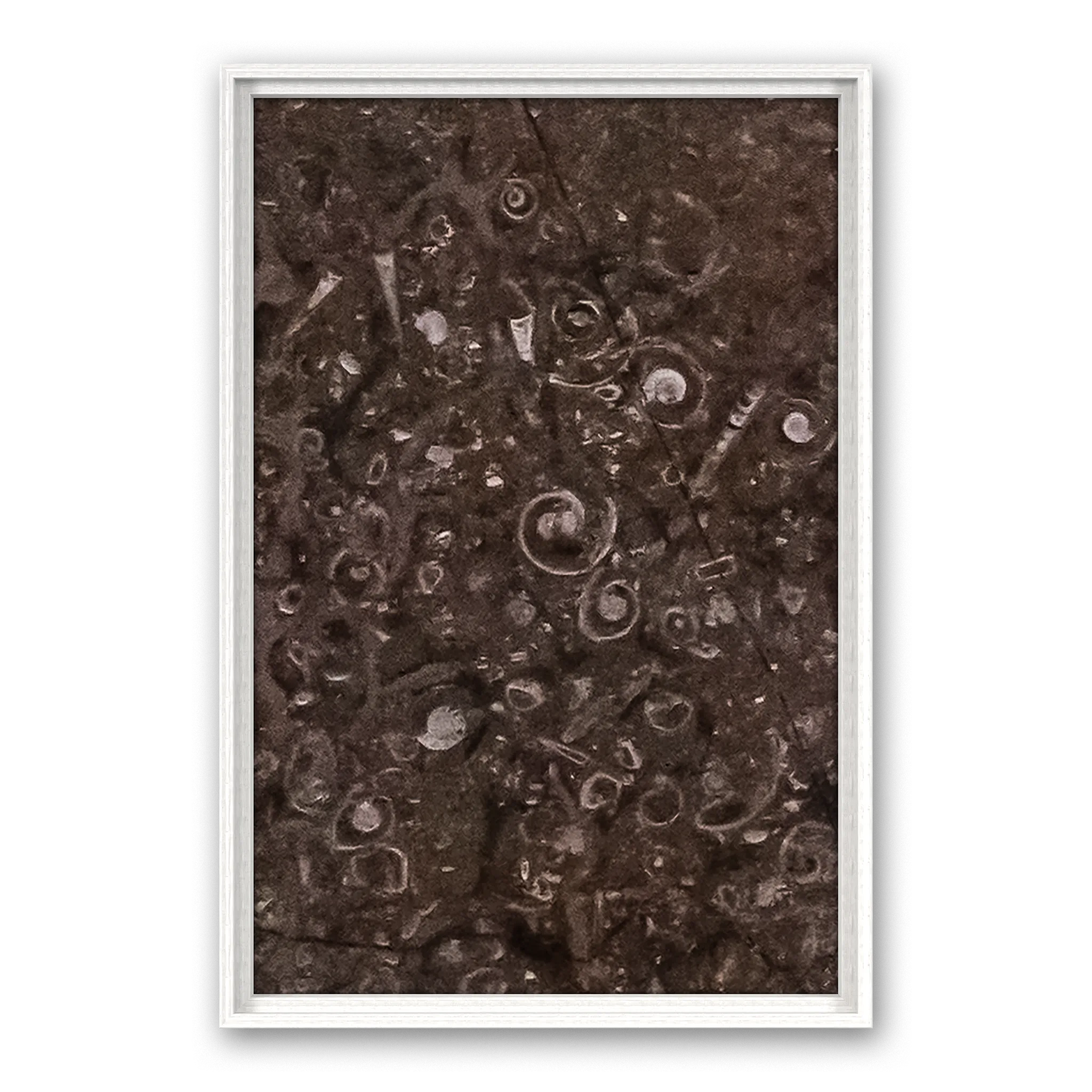 Tempus Seashell