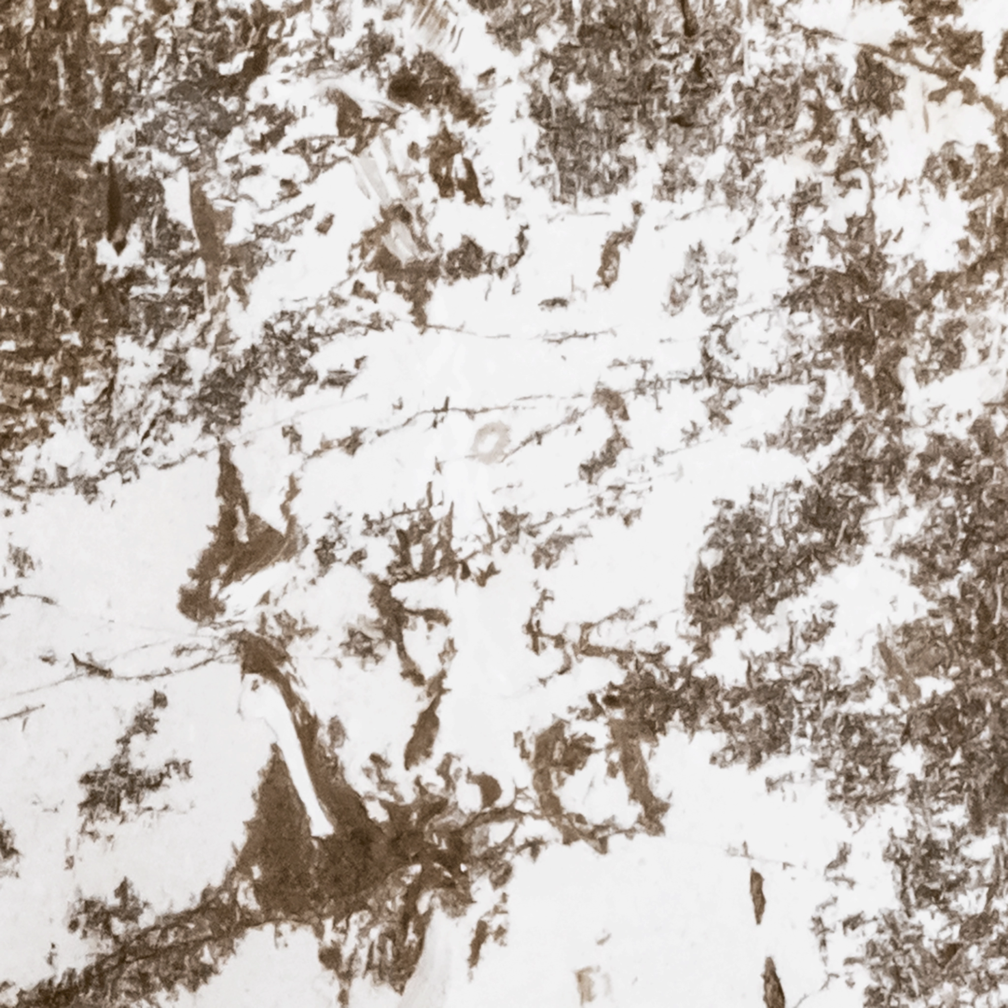 March Snow