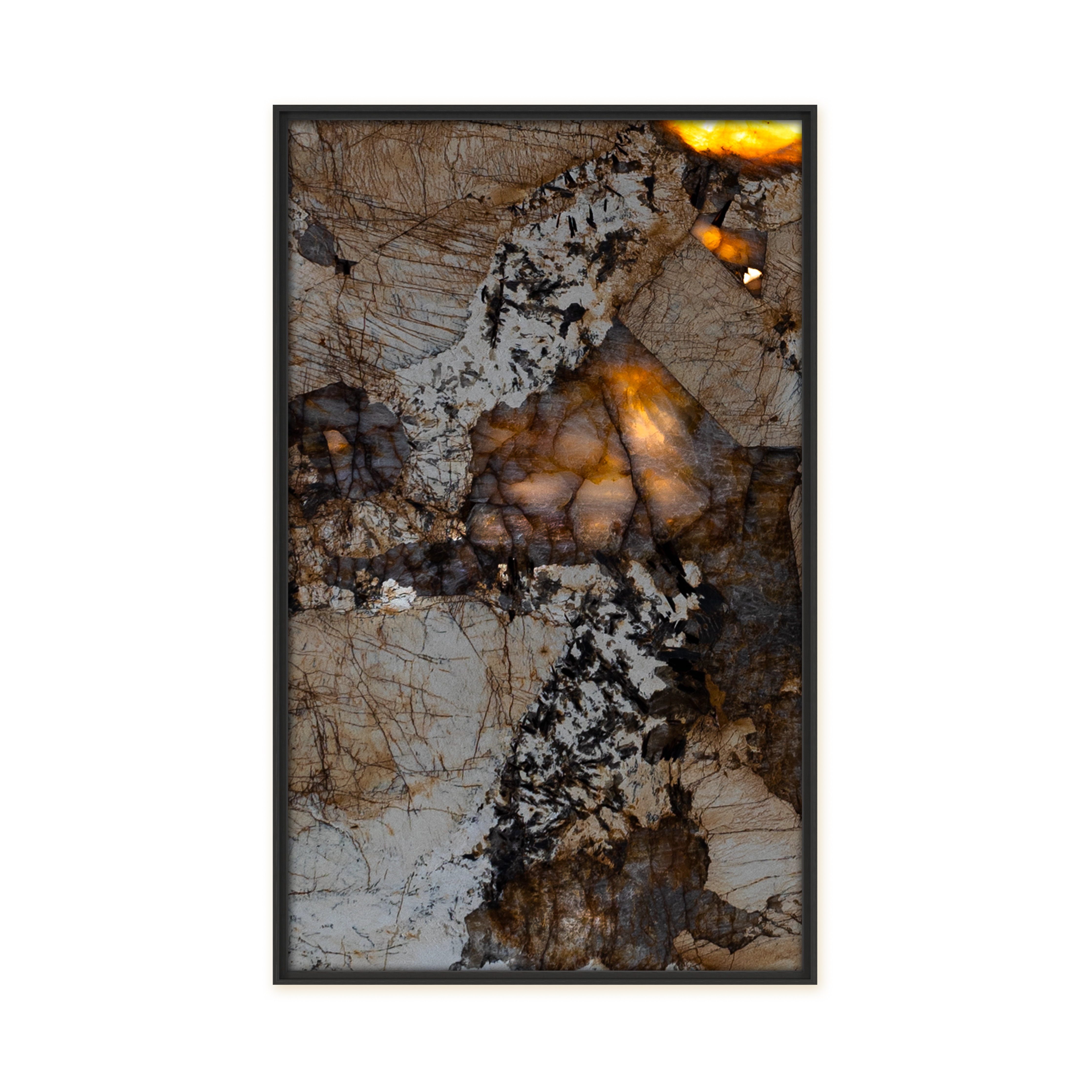 Mandus Orion Mandus Orion