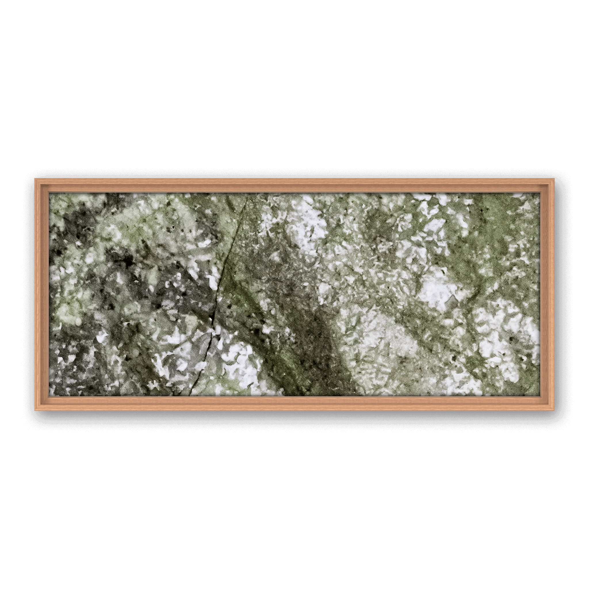 Robinia Garden Robinia Garden