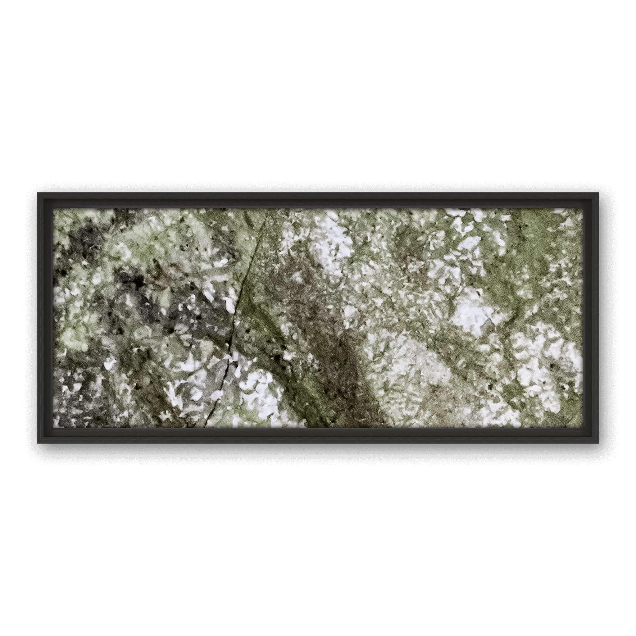 Robinia Garden Robinia Garden