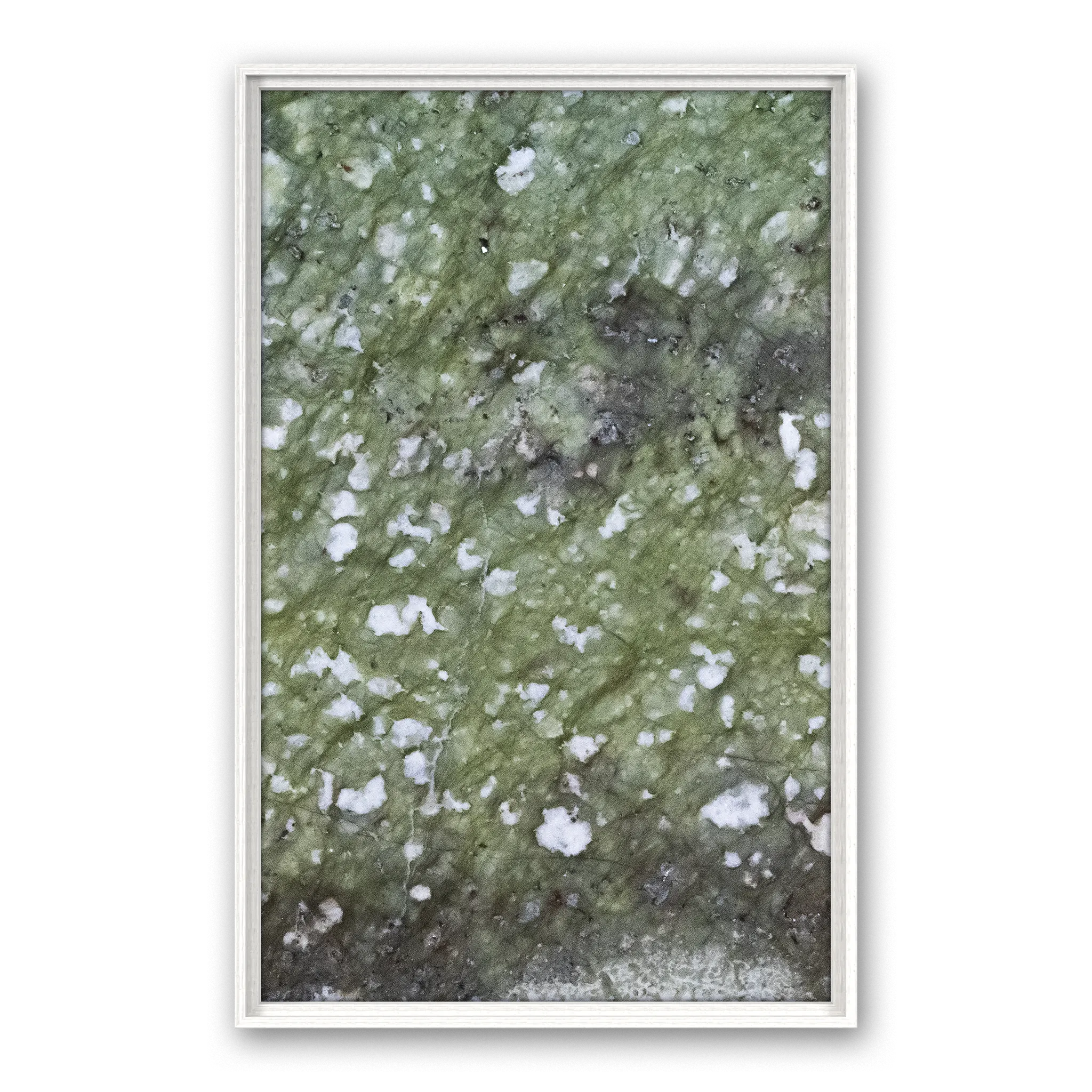 Robinia Freeze