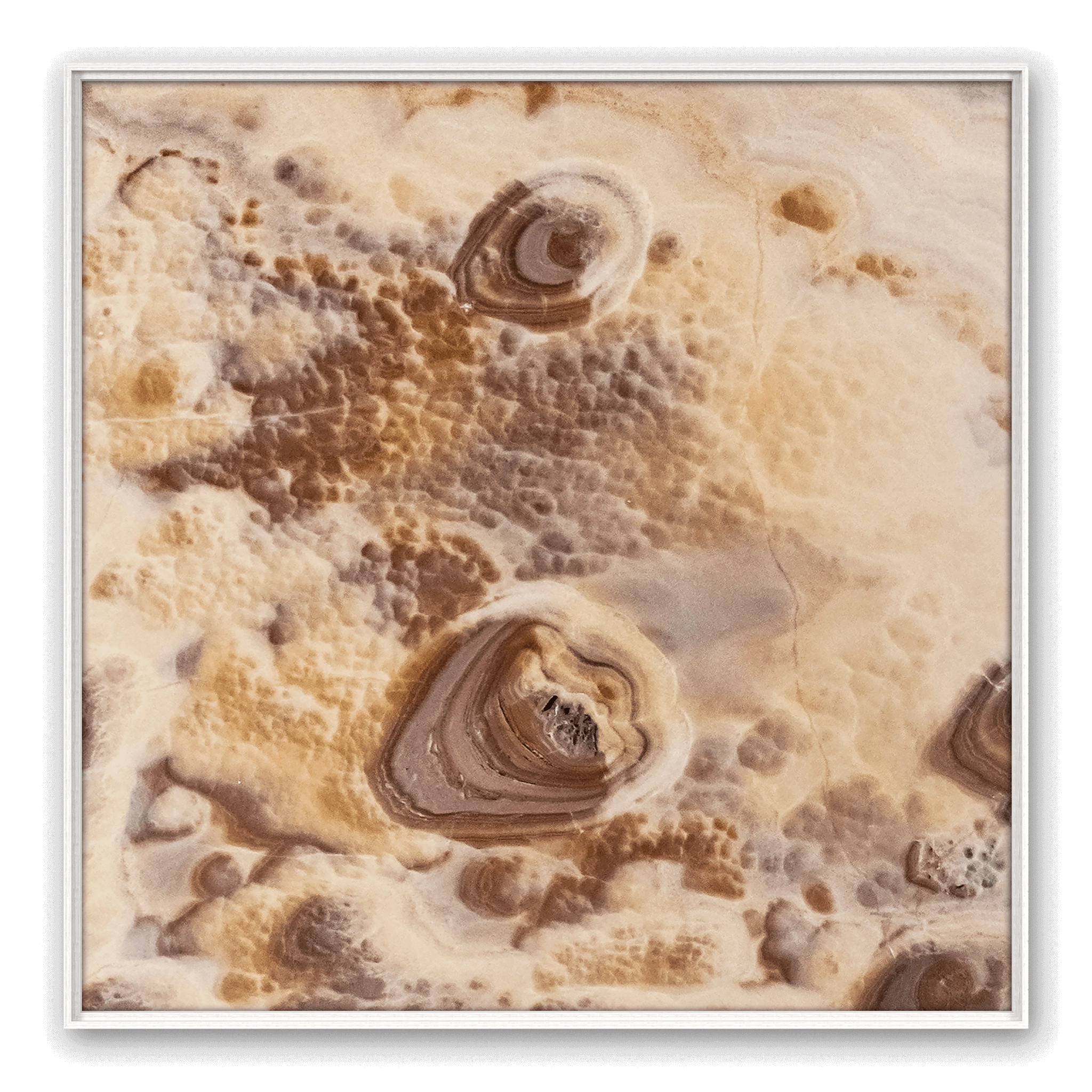Dune Area