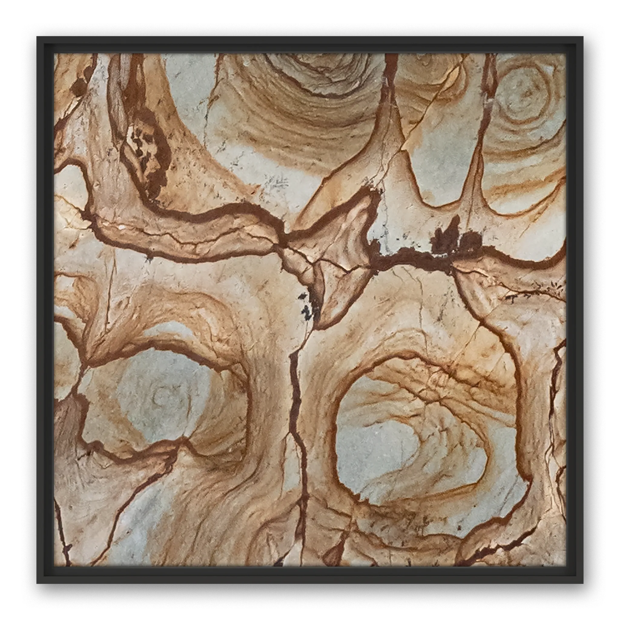 Ambrosius Frame