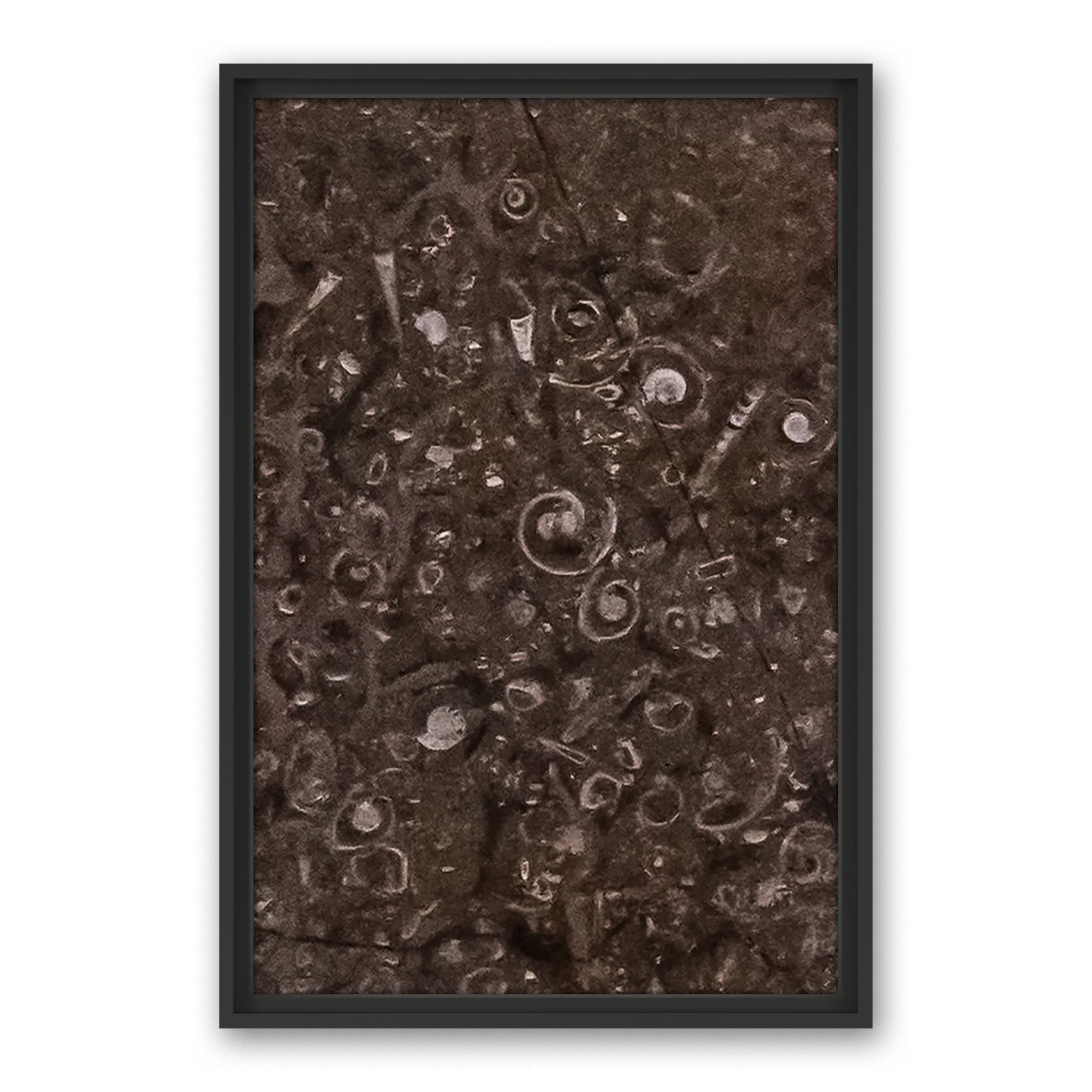 Tempus Seashell