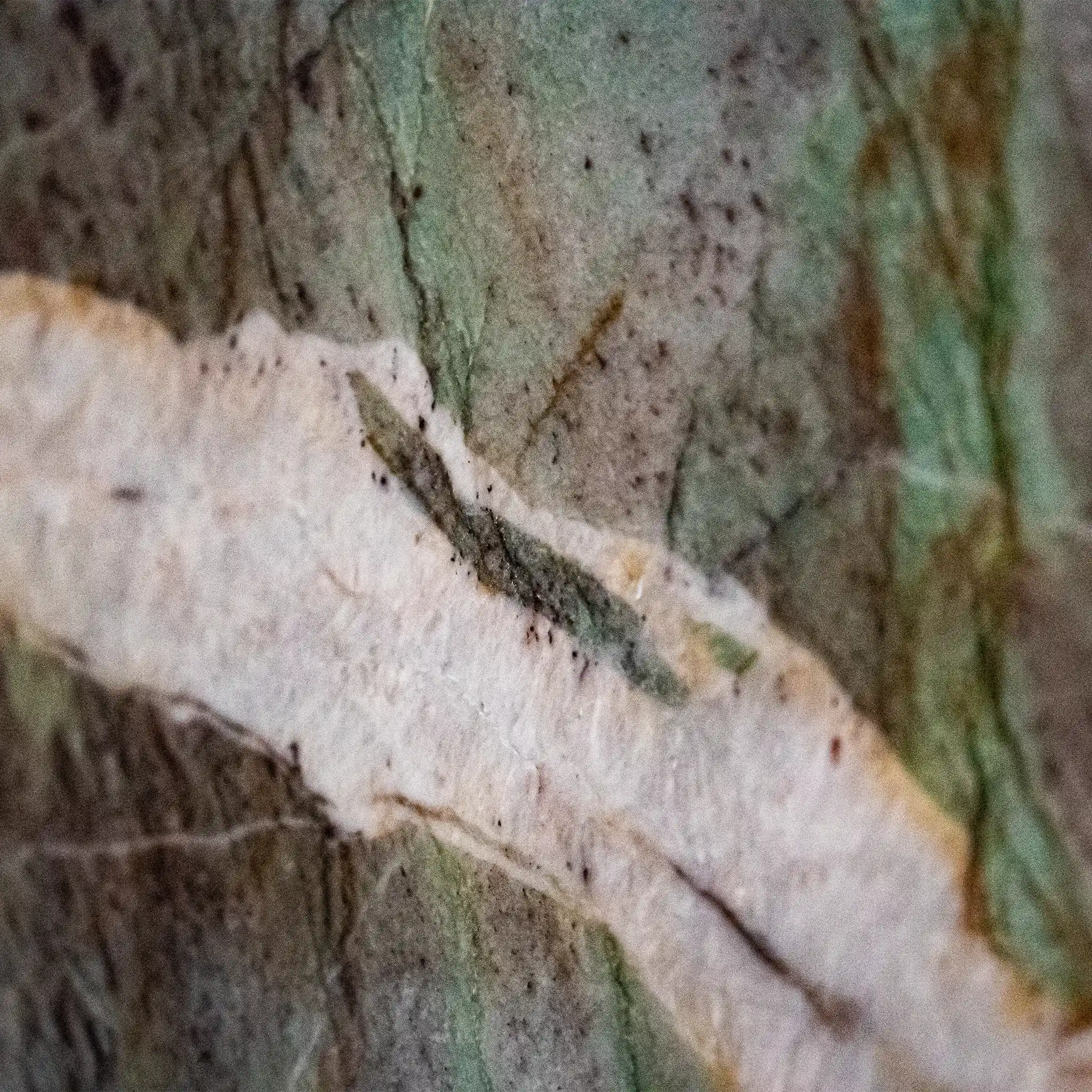 Cordillera Amazonia