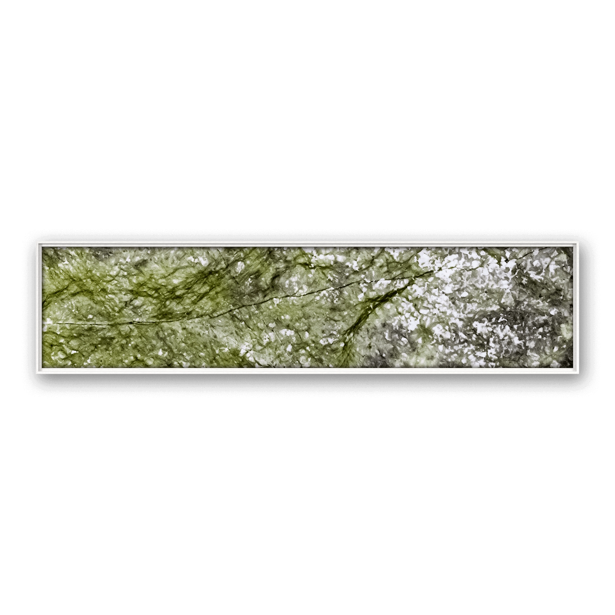 Robinia Snow