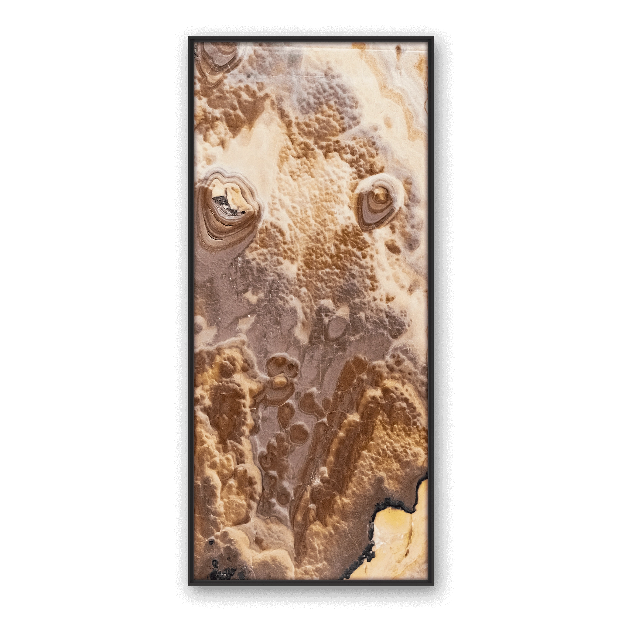 Dune Elevation