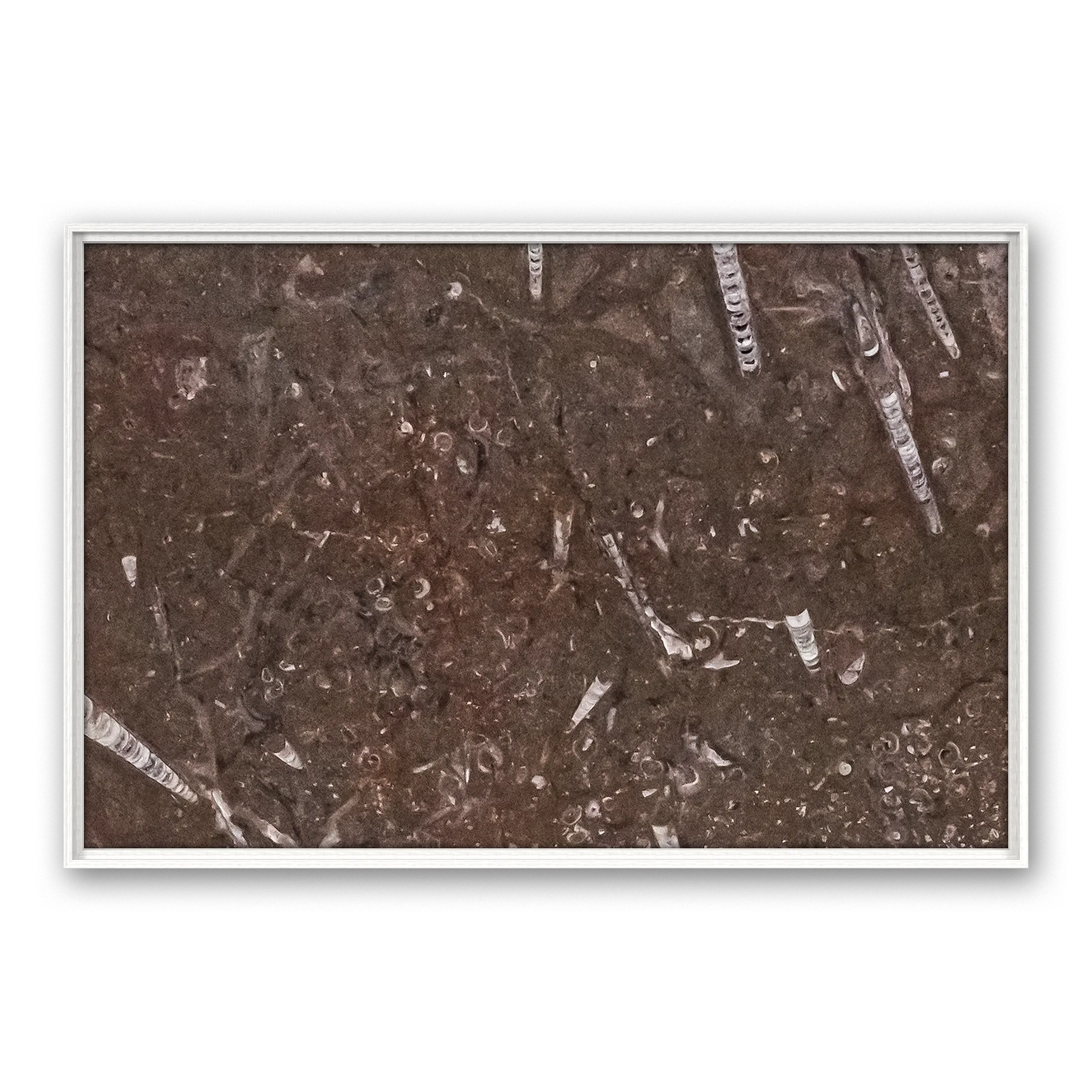 Tempus Soil