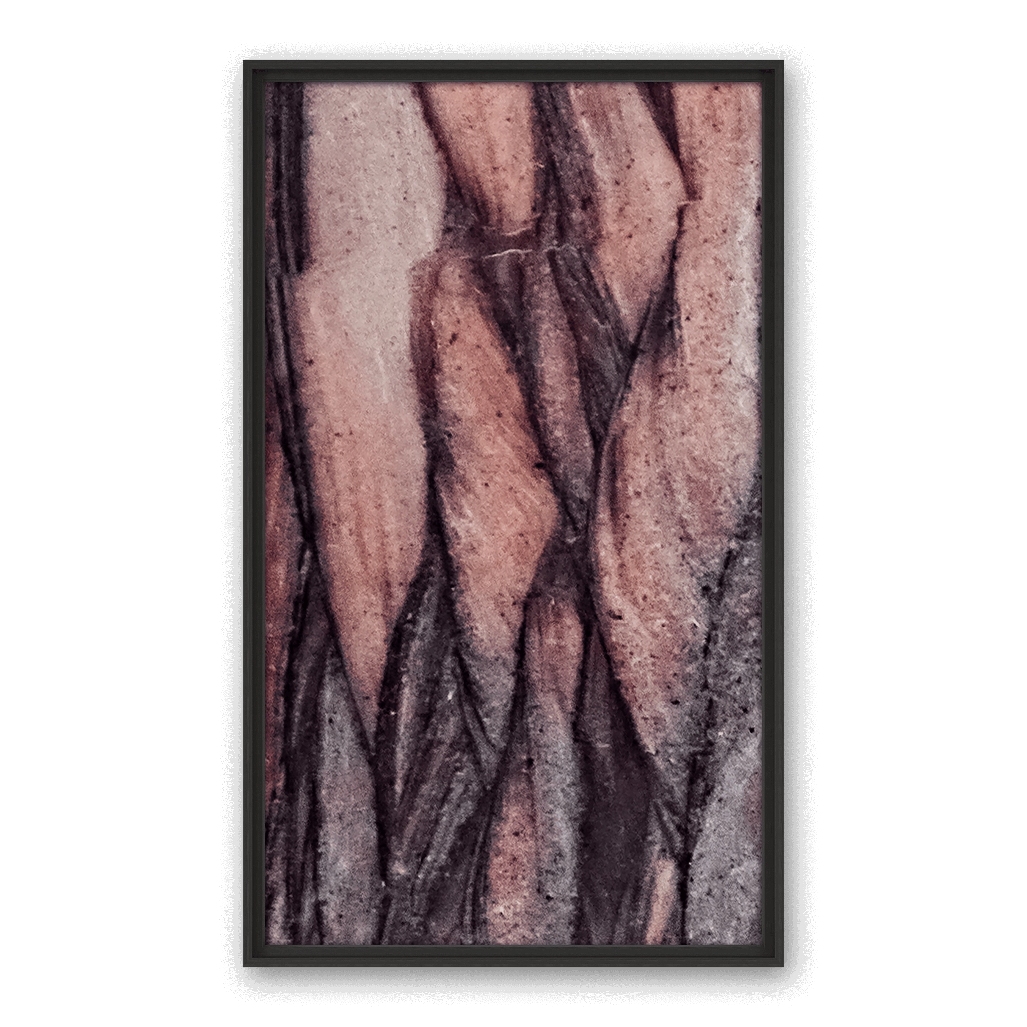 Desert Fiber