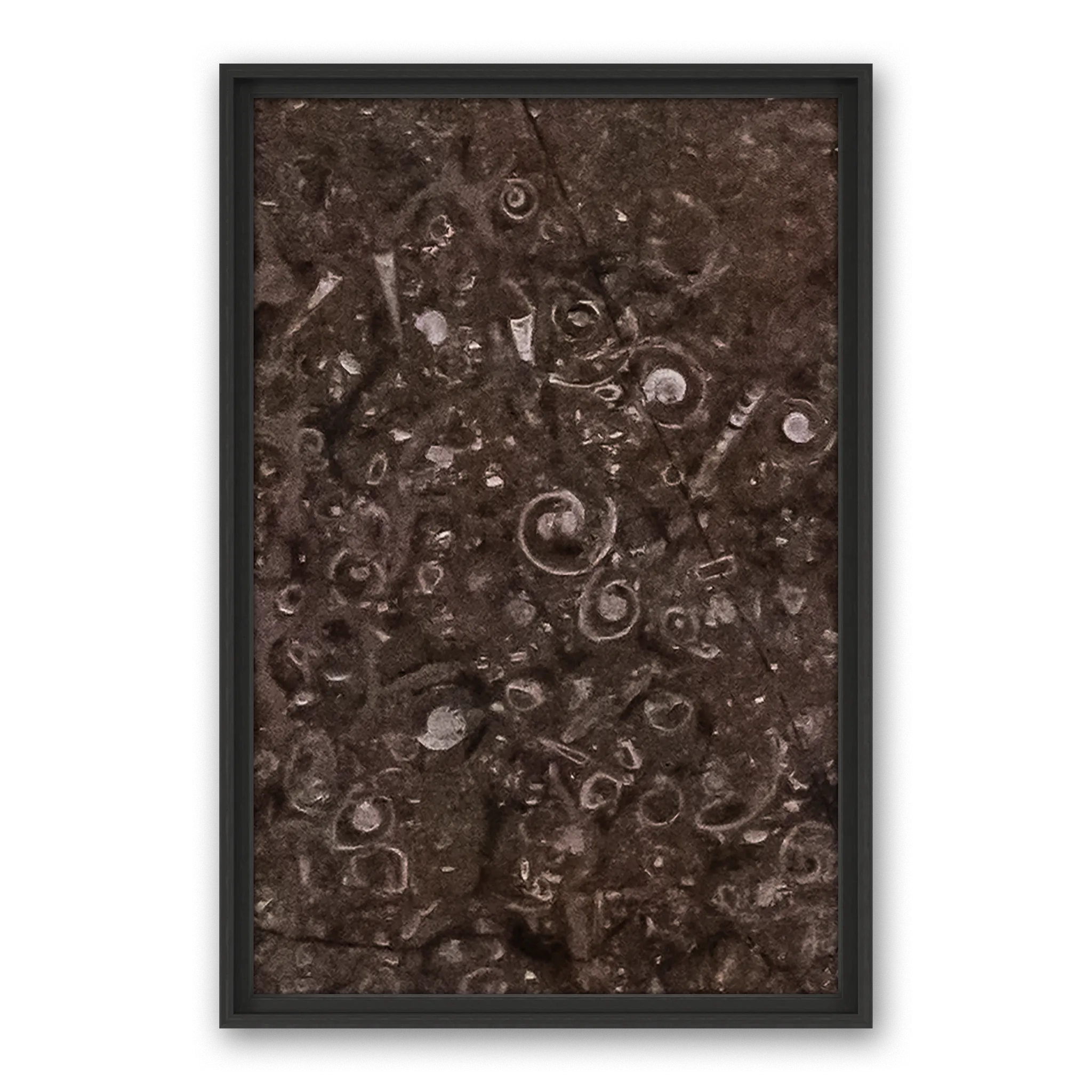 Tempus Seashell