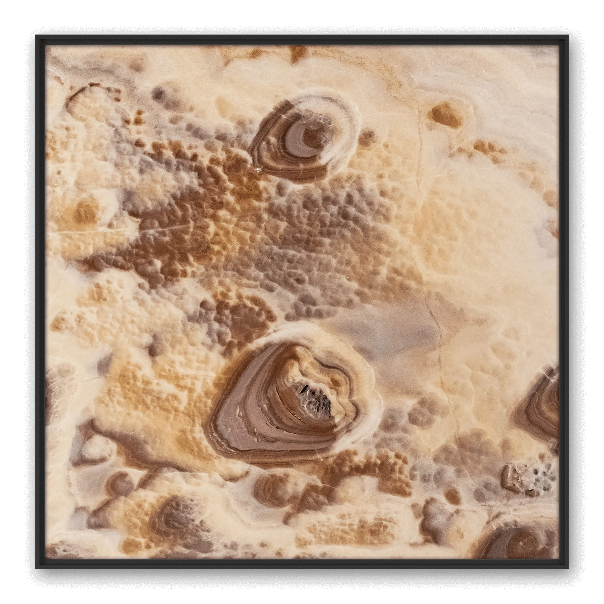 Dune Area