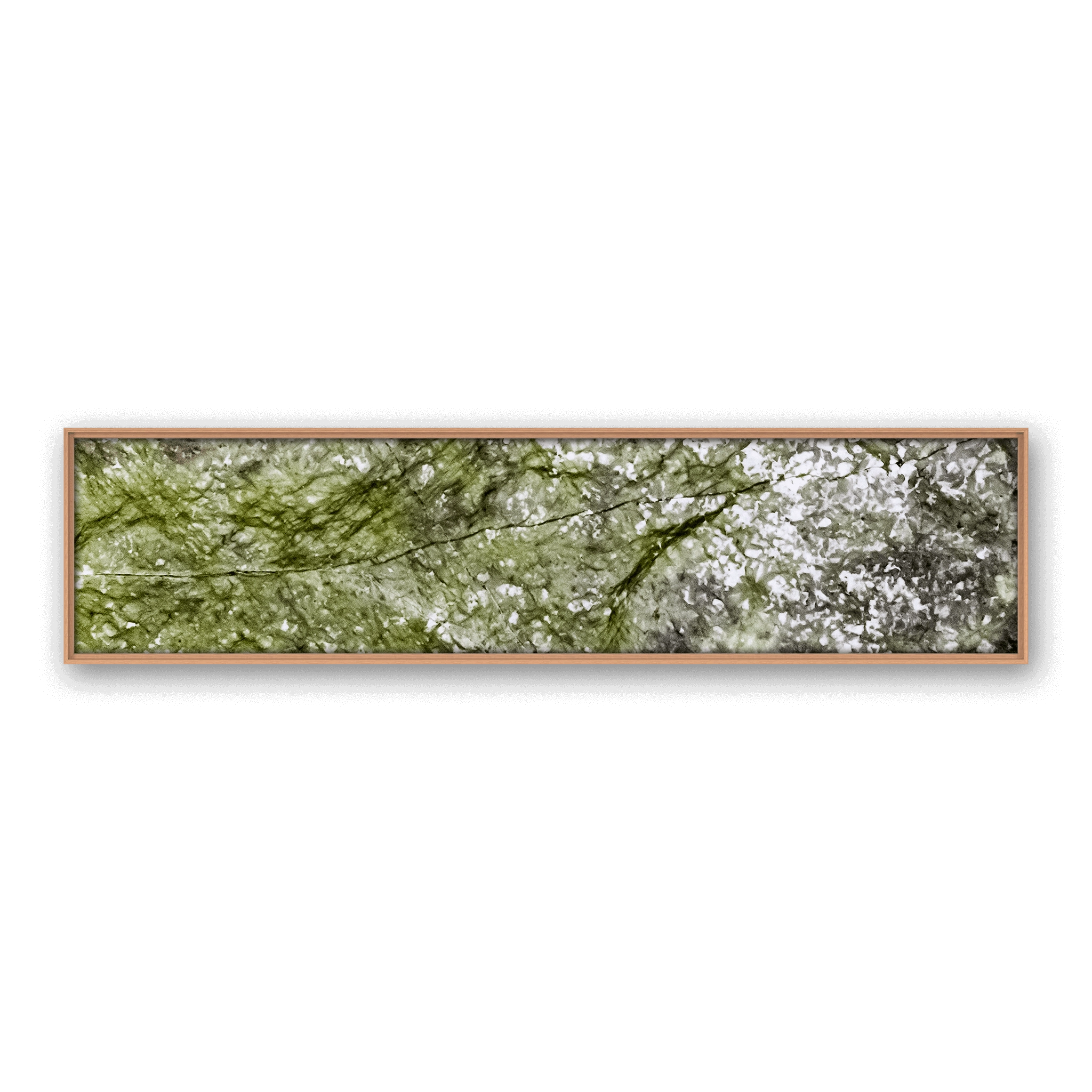 Robinia Snow