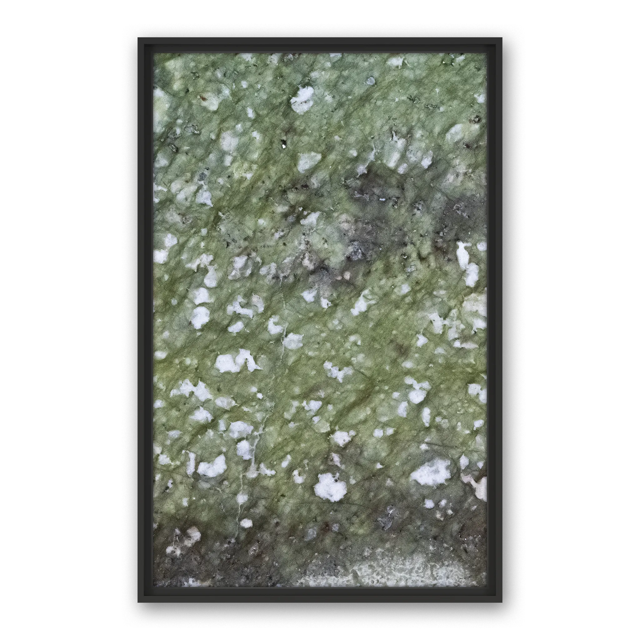 Robinia Freeze