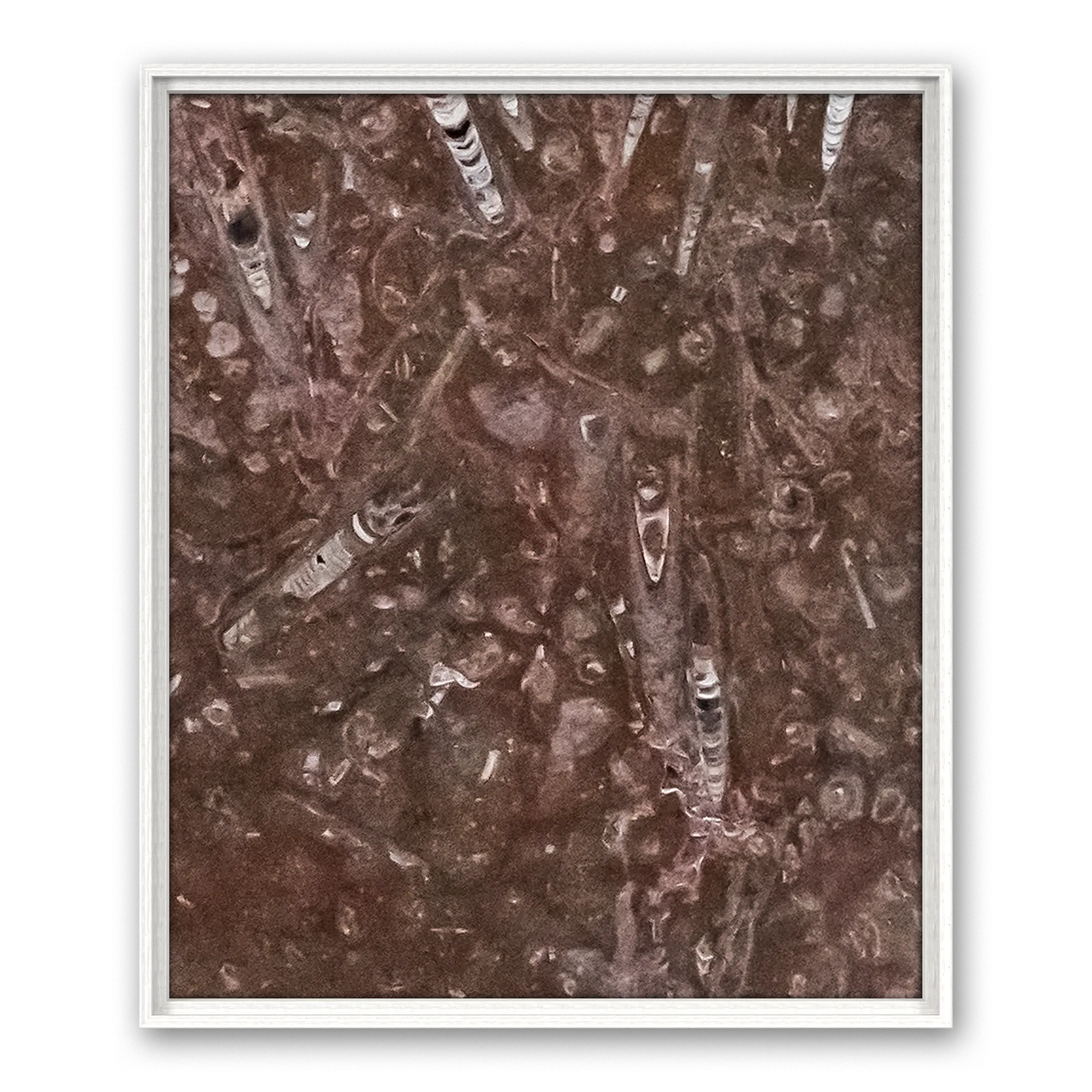 Tempus Pietra Tempus Pietra