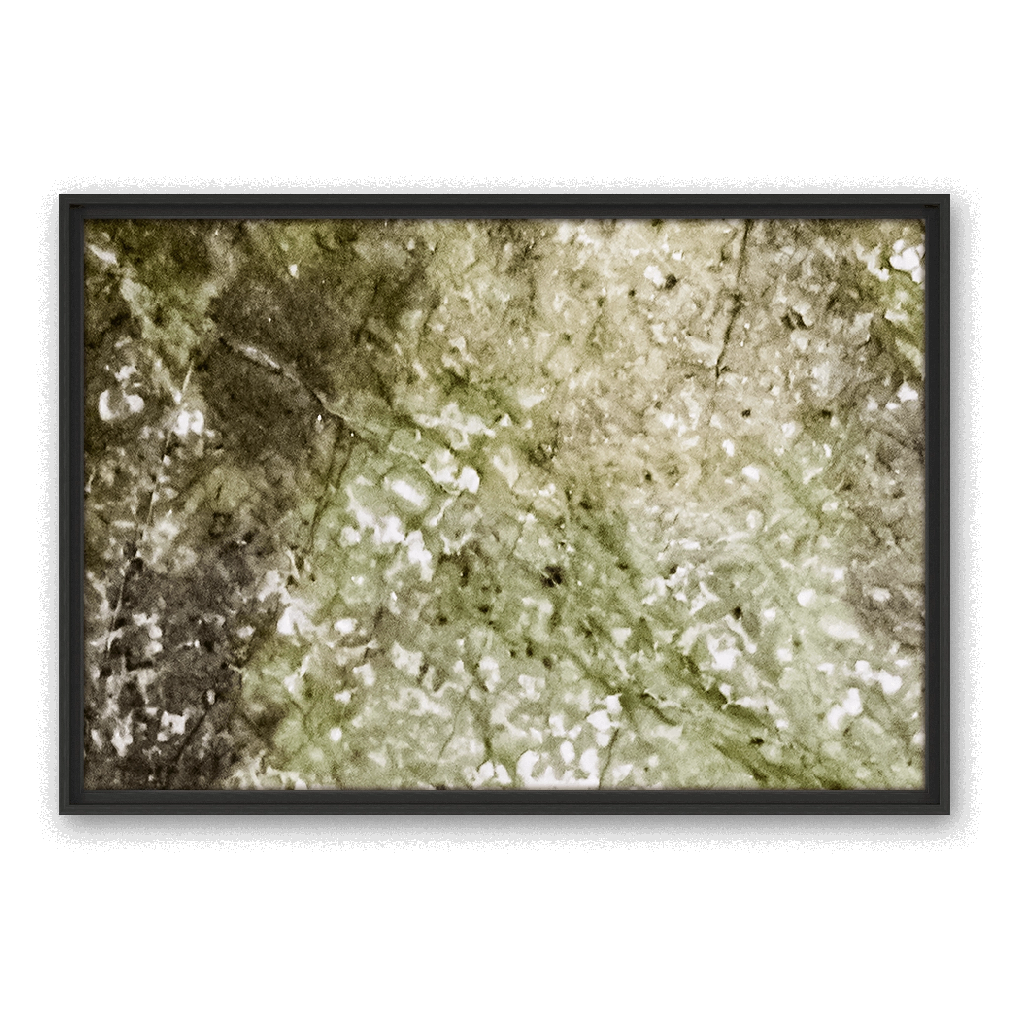 Robinia Landscape