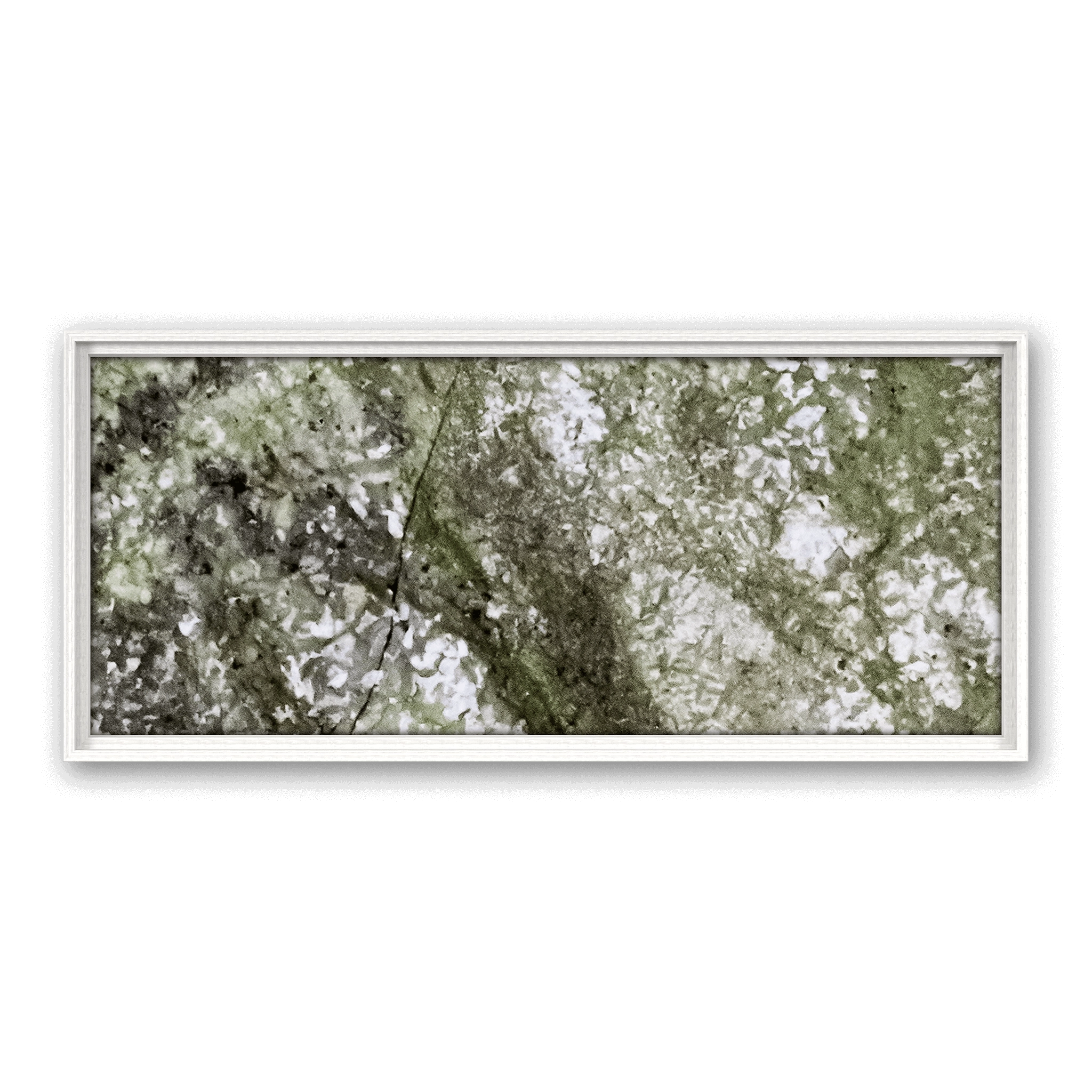 Robinia Garden Robinia Garden