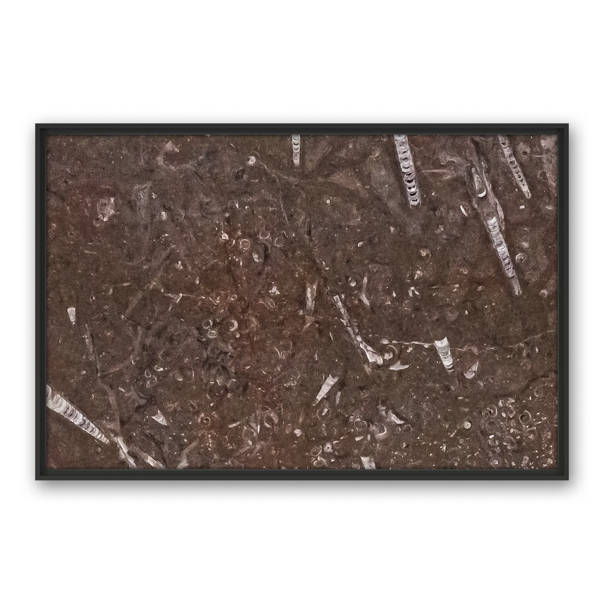 Tempus Soil