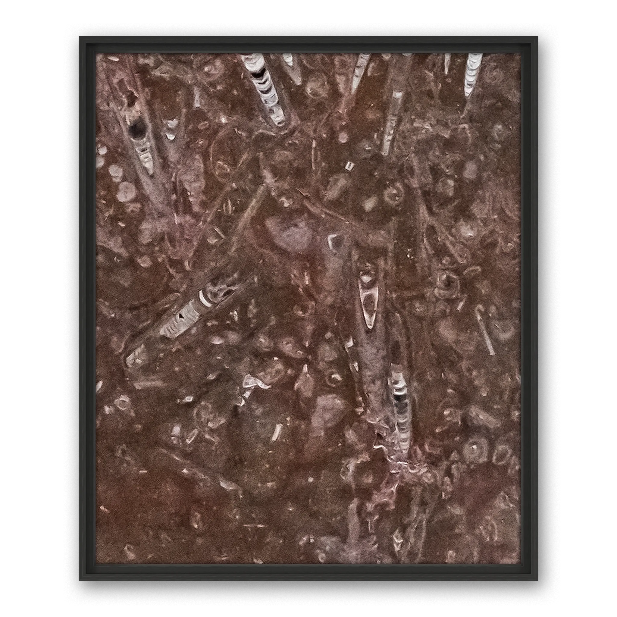 Tempus Pietra Tempus Pietra