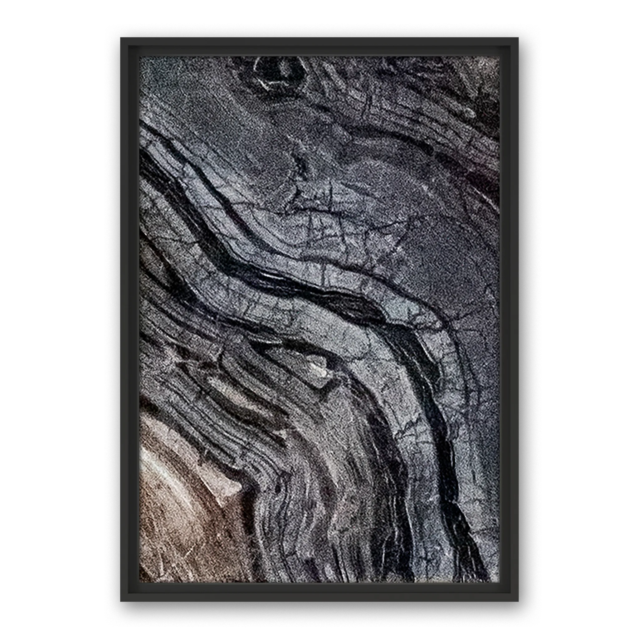 Cosmic Gaze Cosmic Gaze