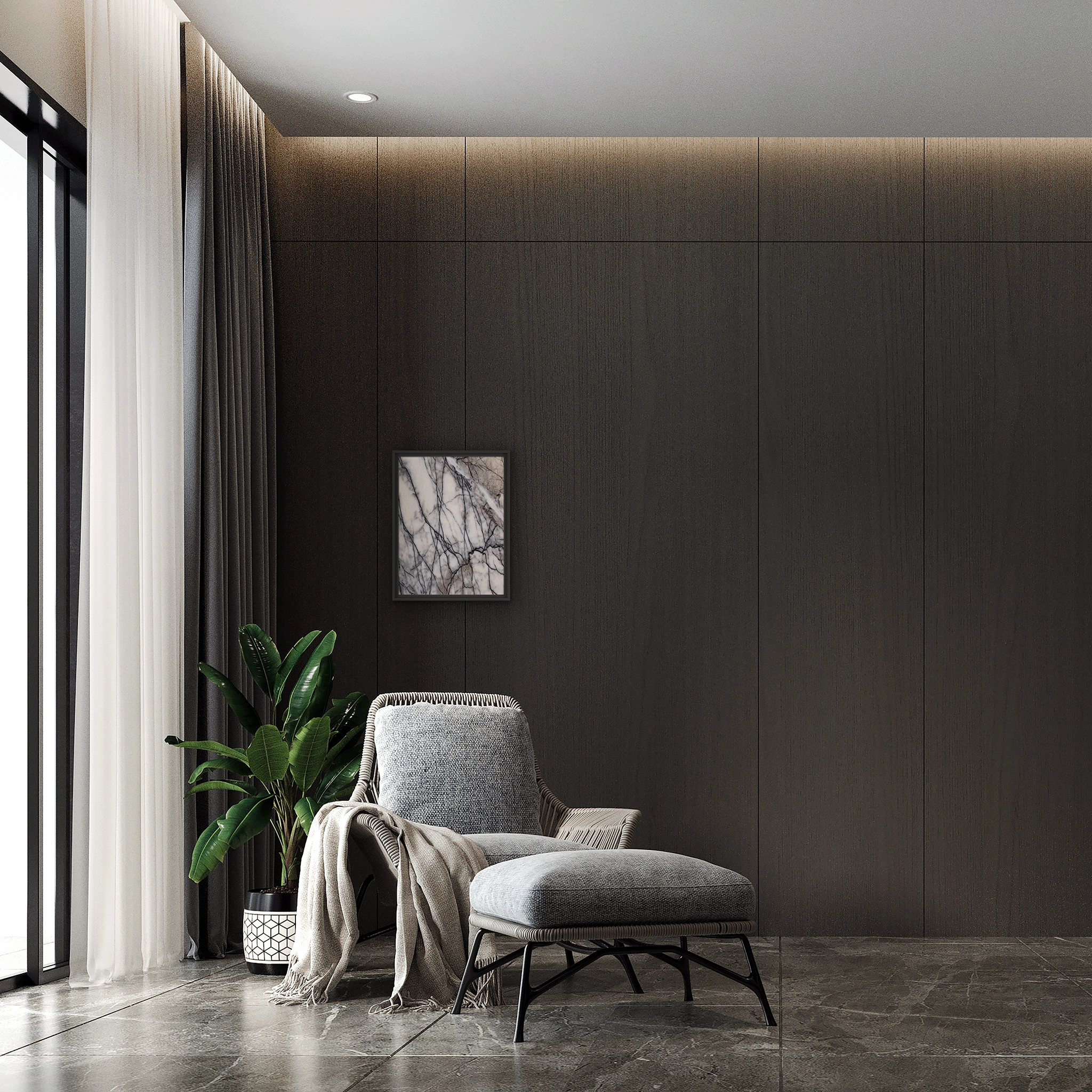 Lilium Classic
