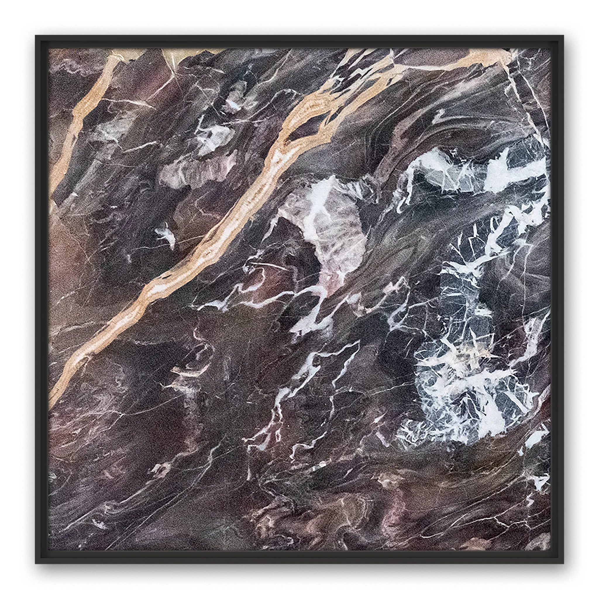 Pallas Himalaya